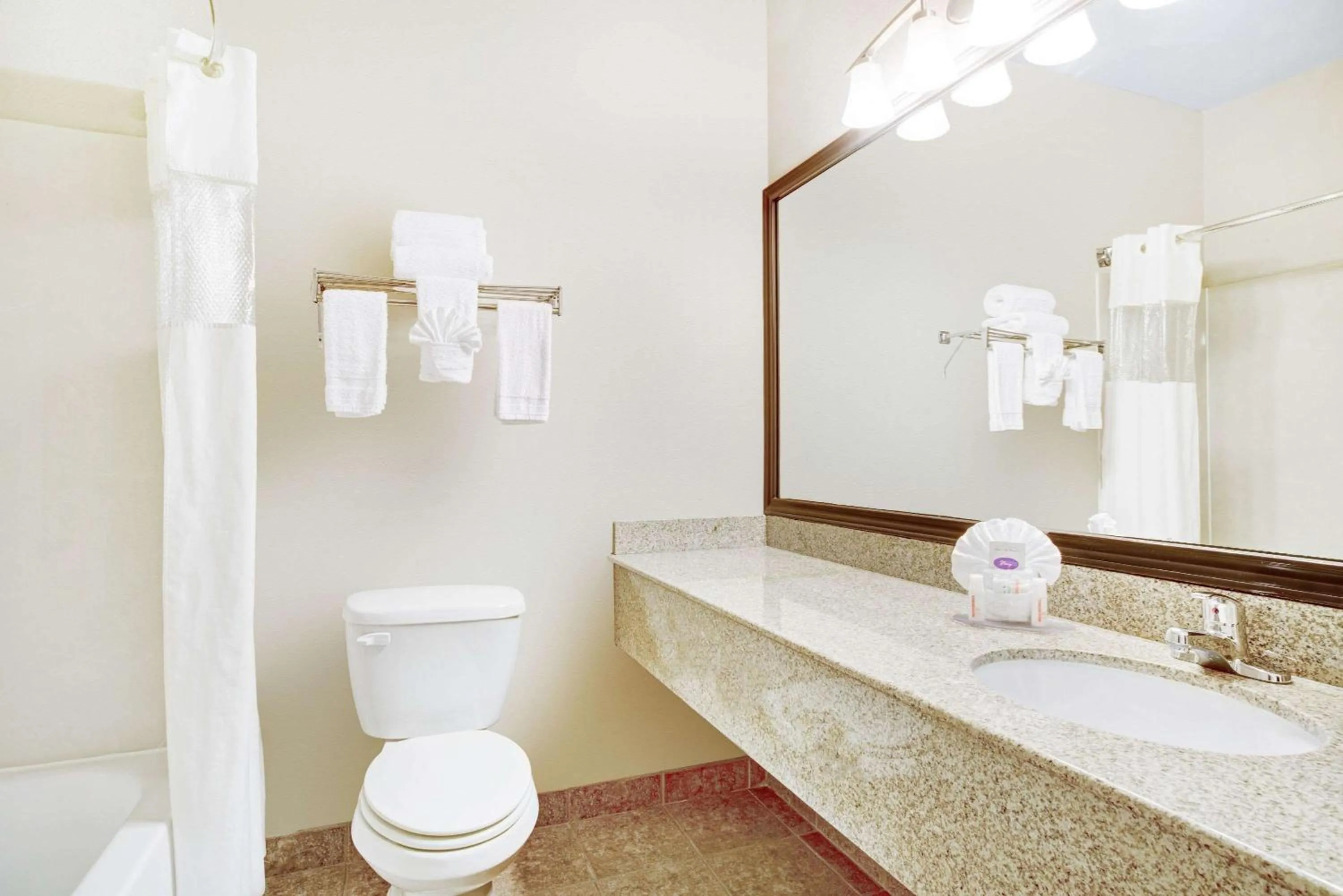 Toilet in Baymont by Wyndham Dallas/ Love Field