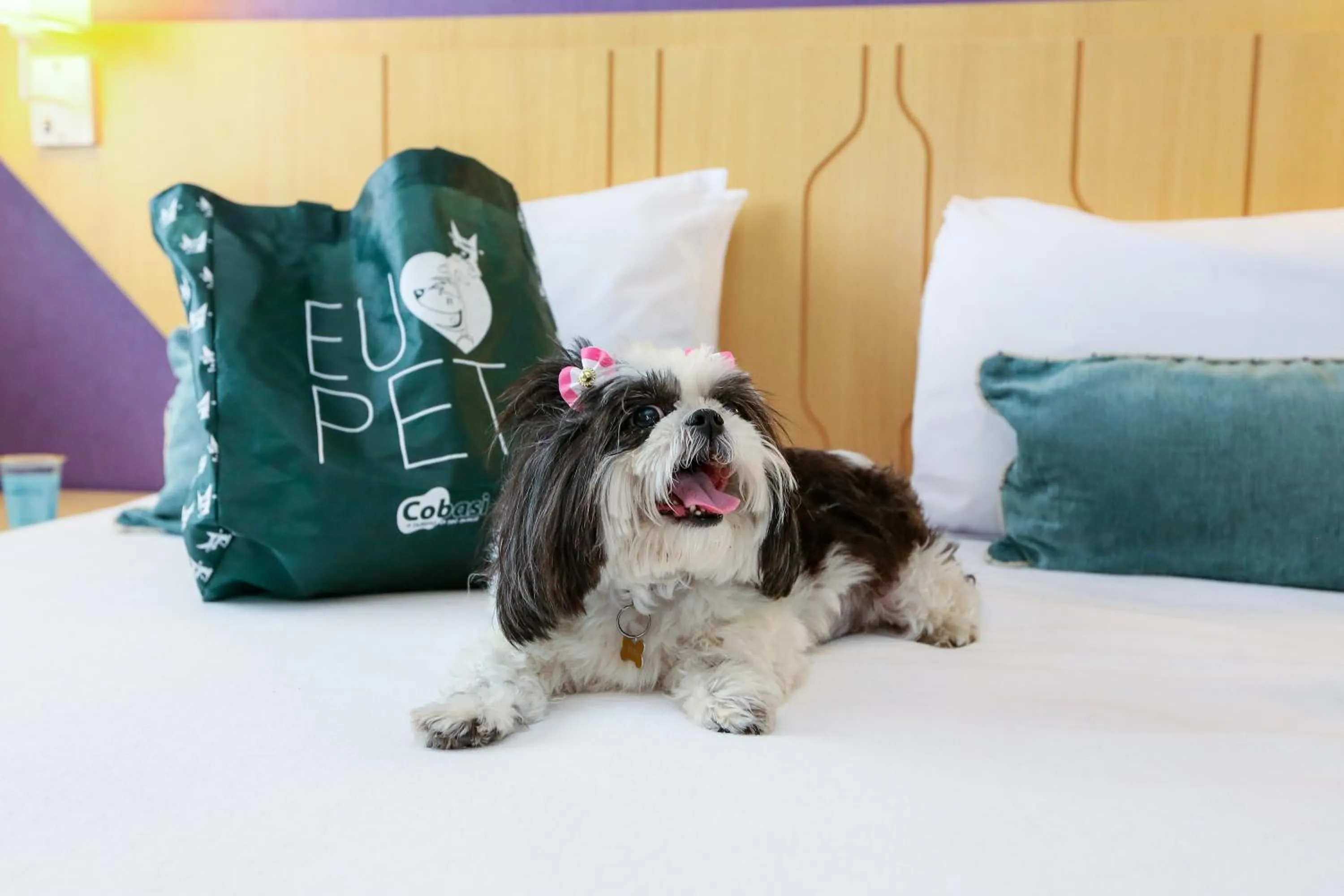 Pets, Bed in Transamerica Executive Nova Paulista