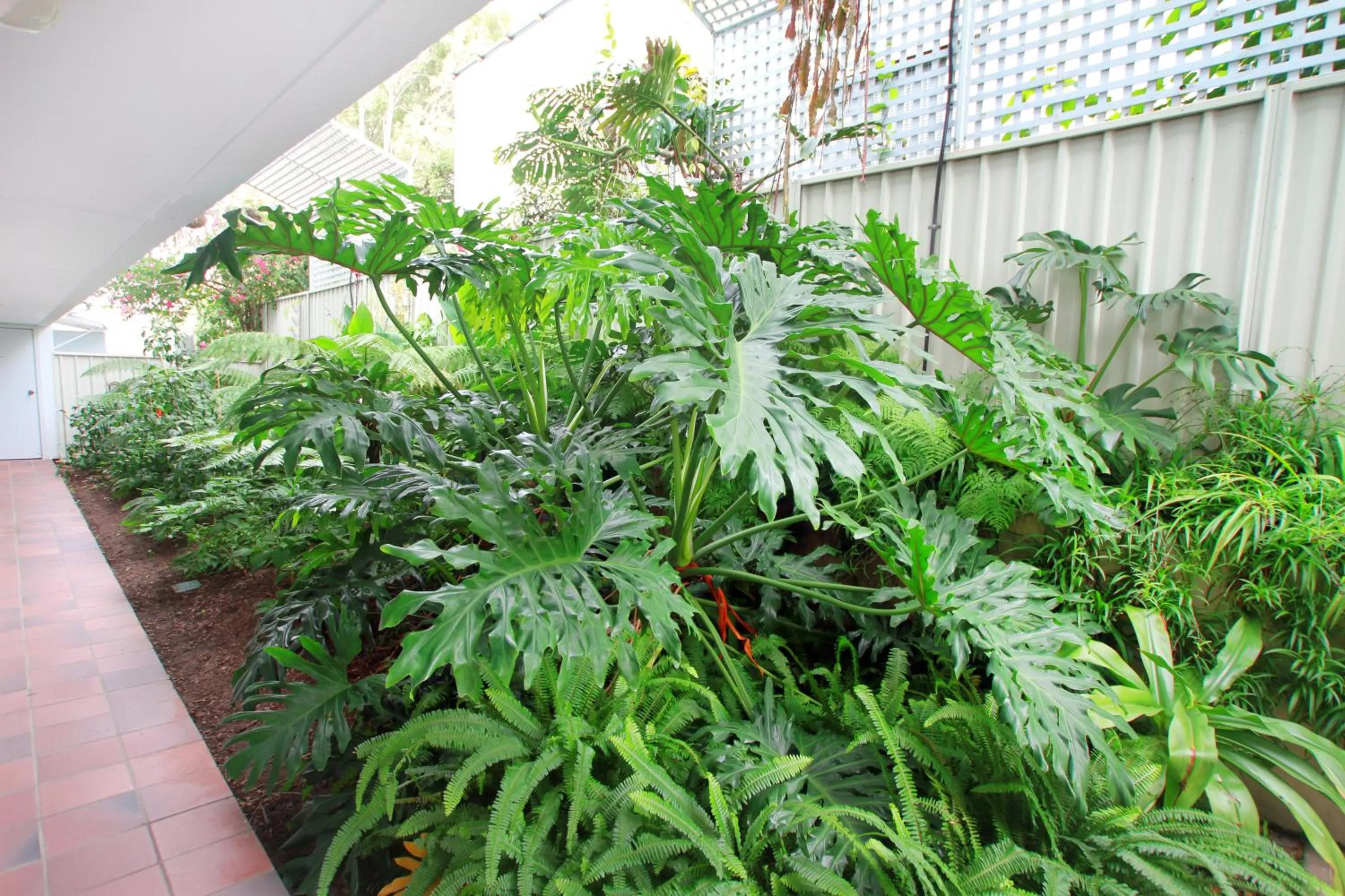 Garden in Sea Spray Motel - Merimbula