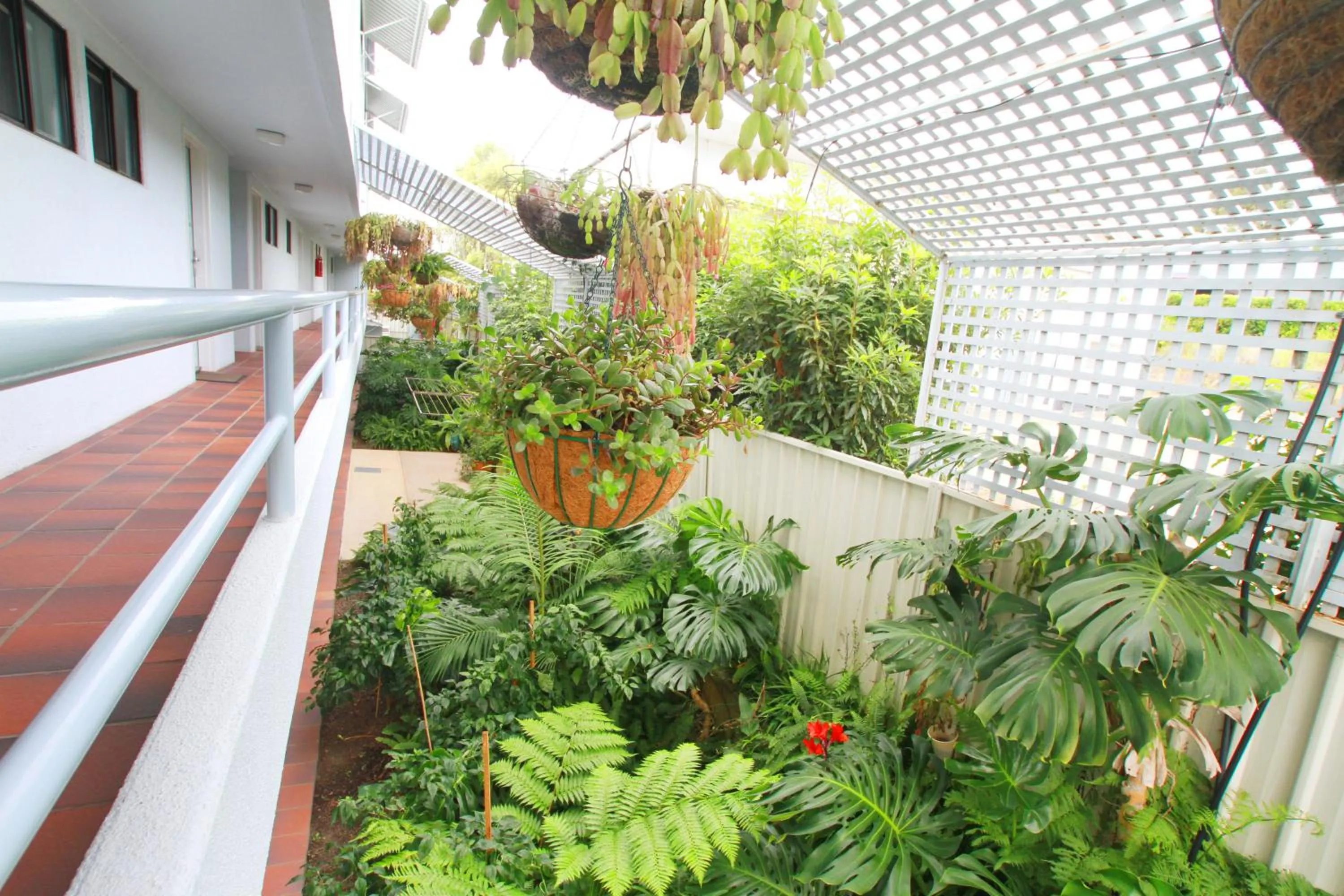 Garden in Sea Spray Motel - Merimbula