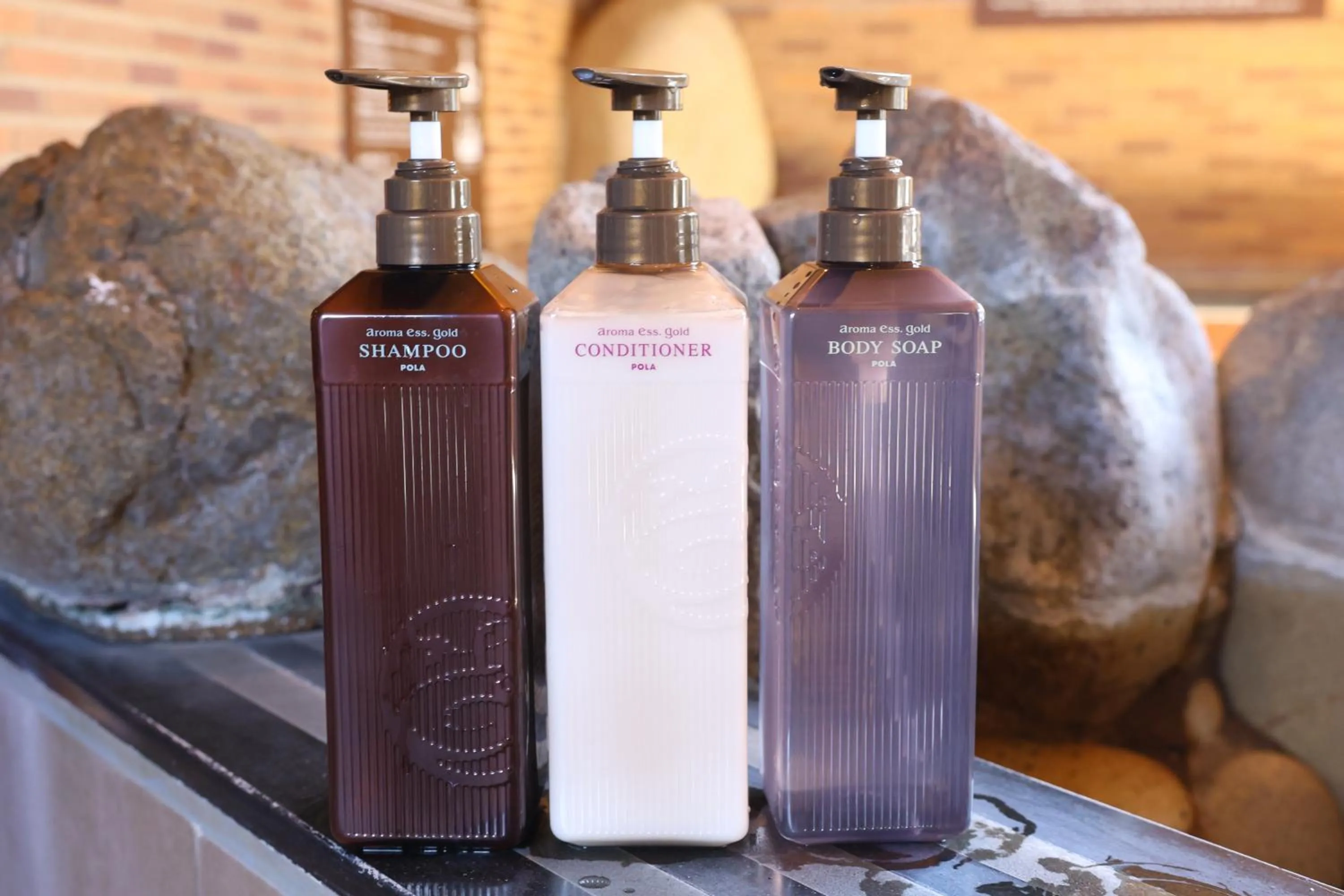 Public Bath in Dormy Inn Takasaki