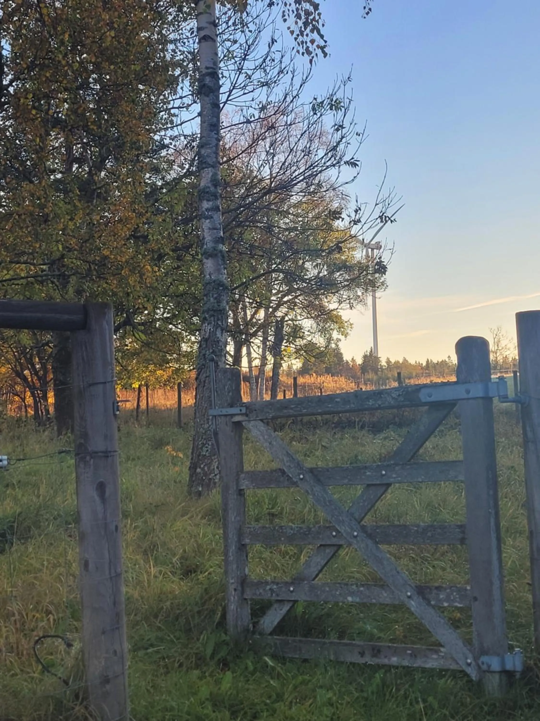 Topperyd Bed & Breakfast