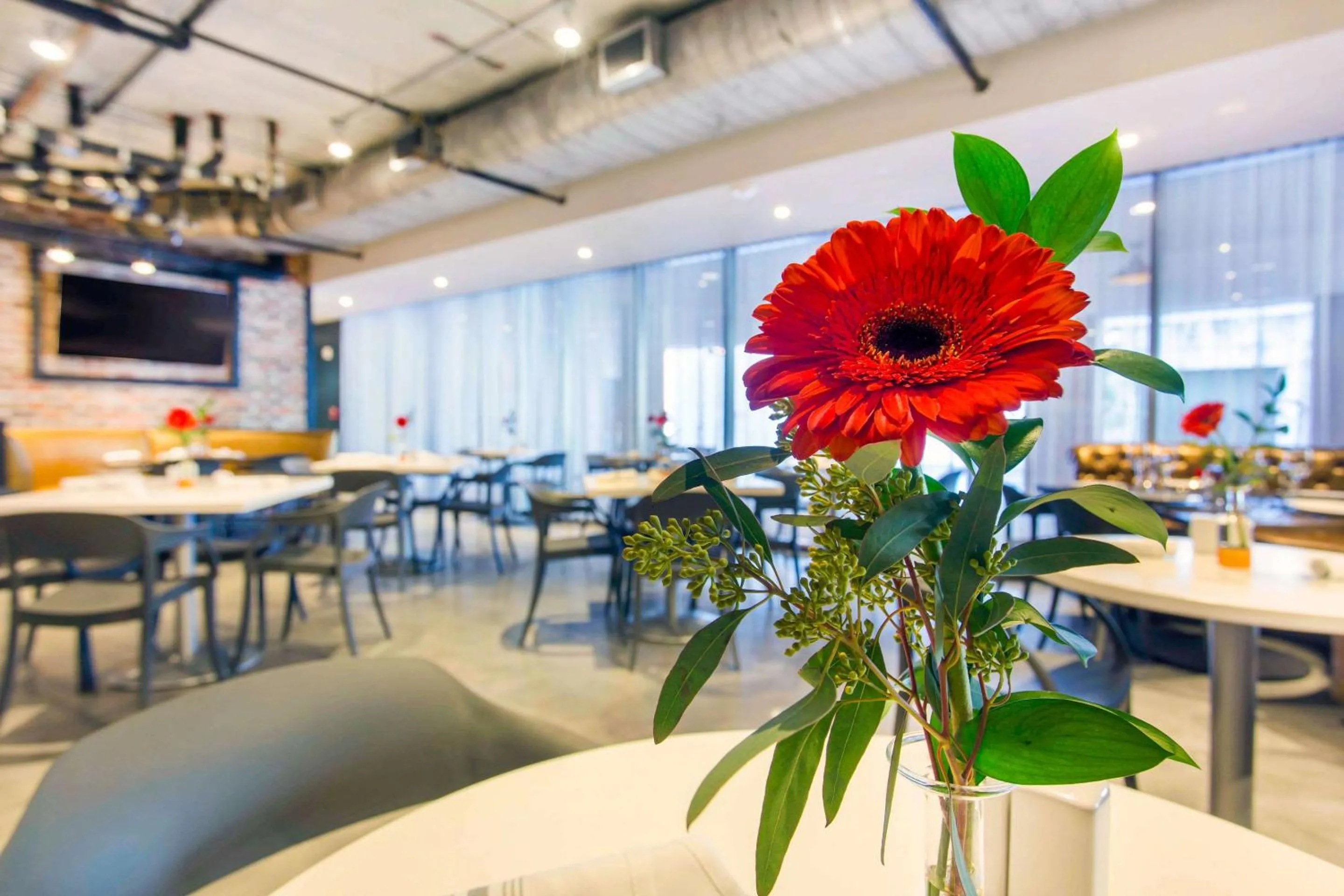 Restaurant/places to eat in Cambria Hotel New Orleans Downtown Warehouse District