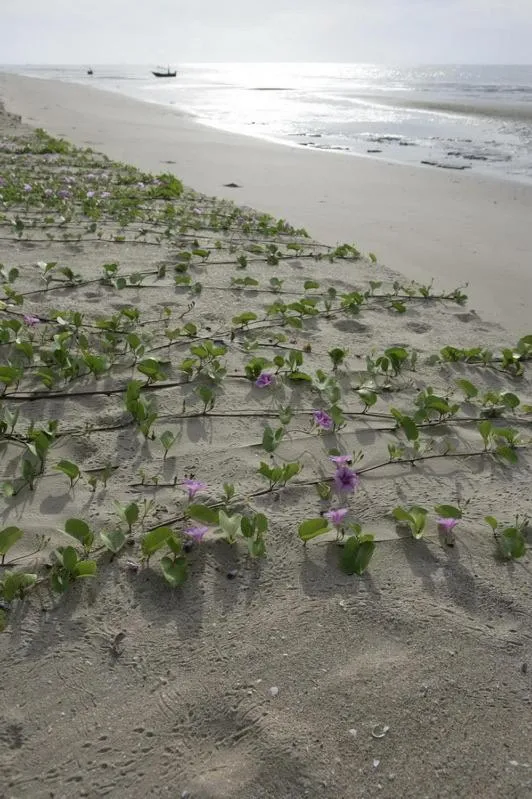 Day in Kuiburi Hotel & Resort