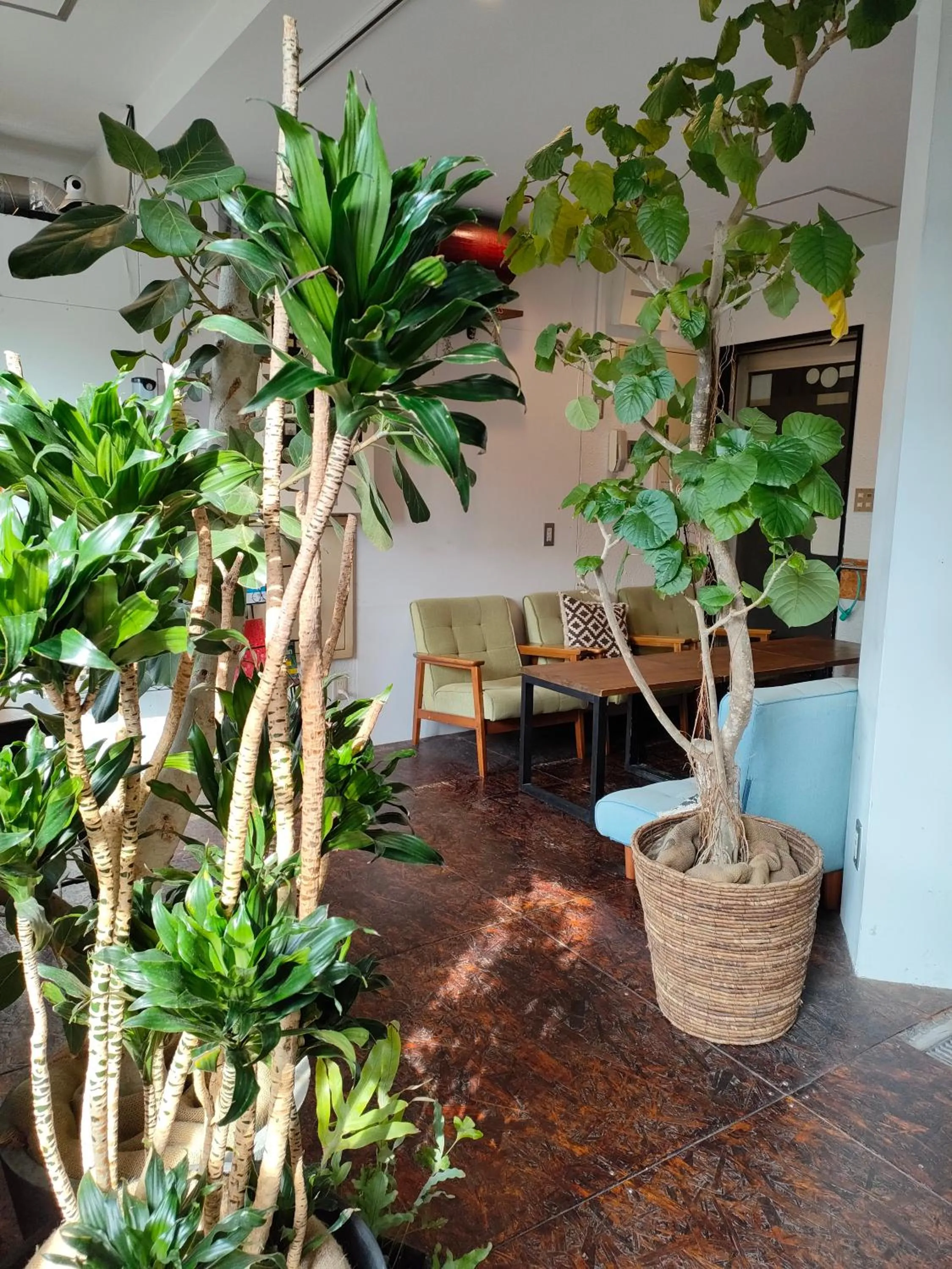 Communal lounge/ TV room in Tokyo Guest House Ouji Music Lounge