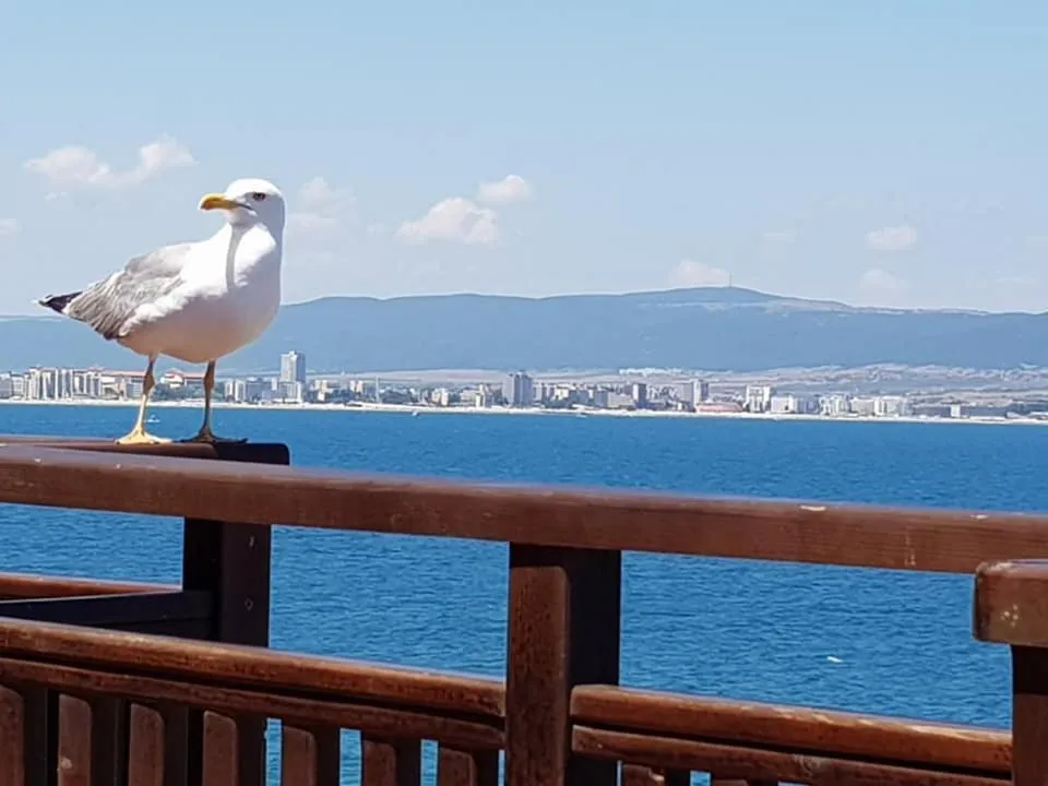 Sea view in Villa Elea