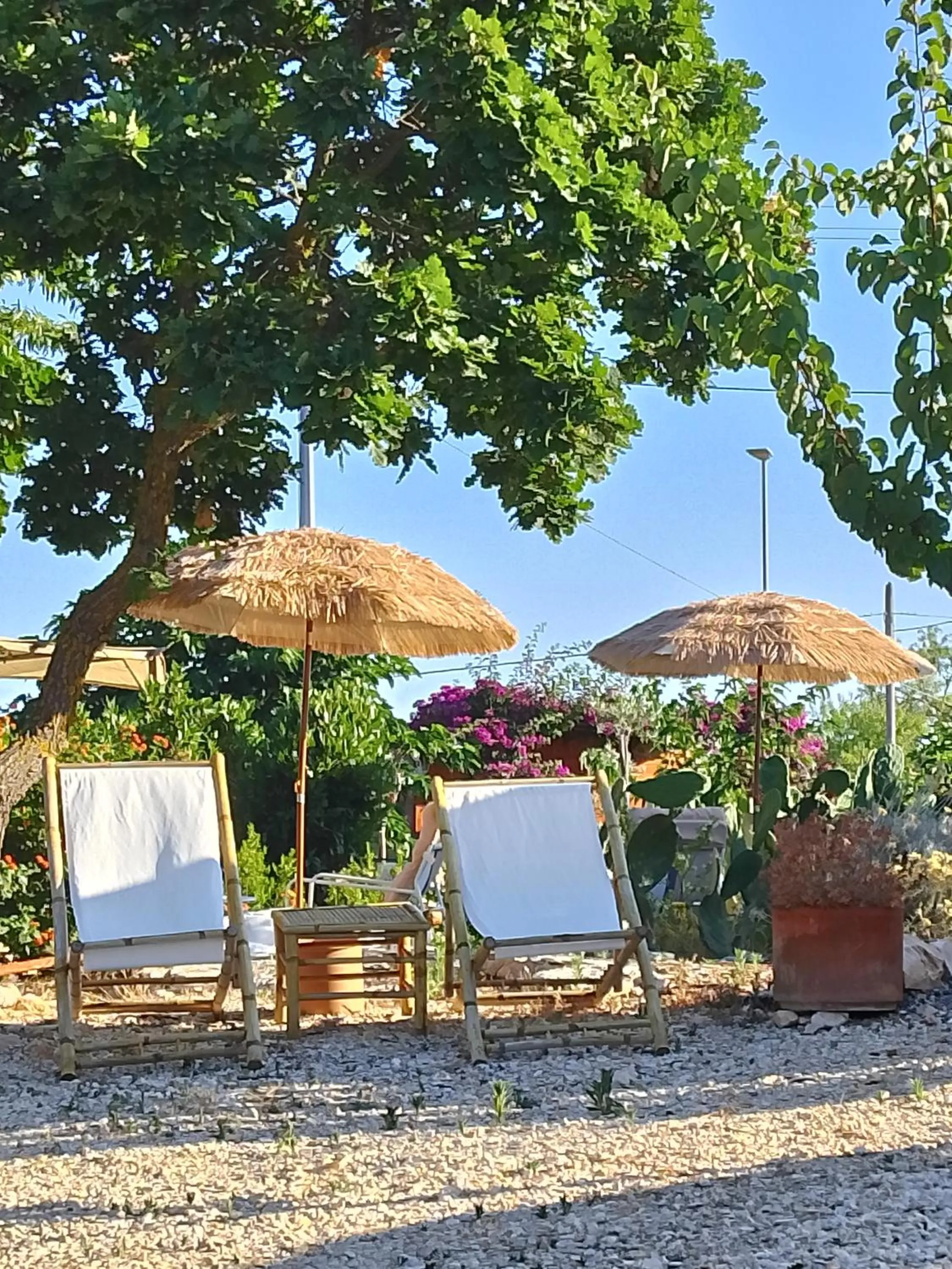 B&B Luxury Villa Olimpia Home Restaurant