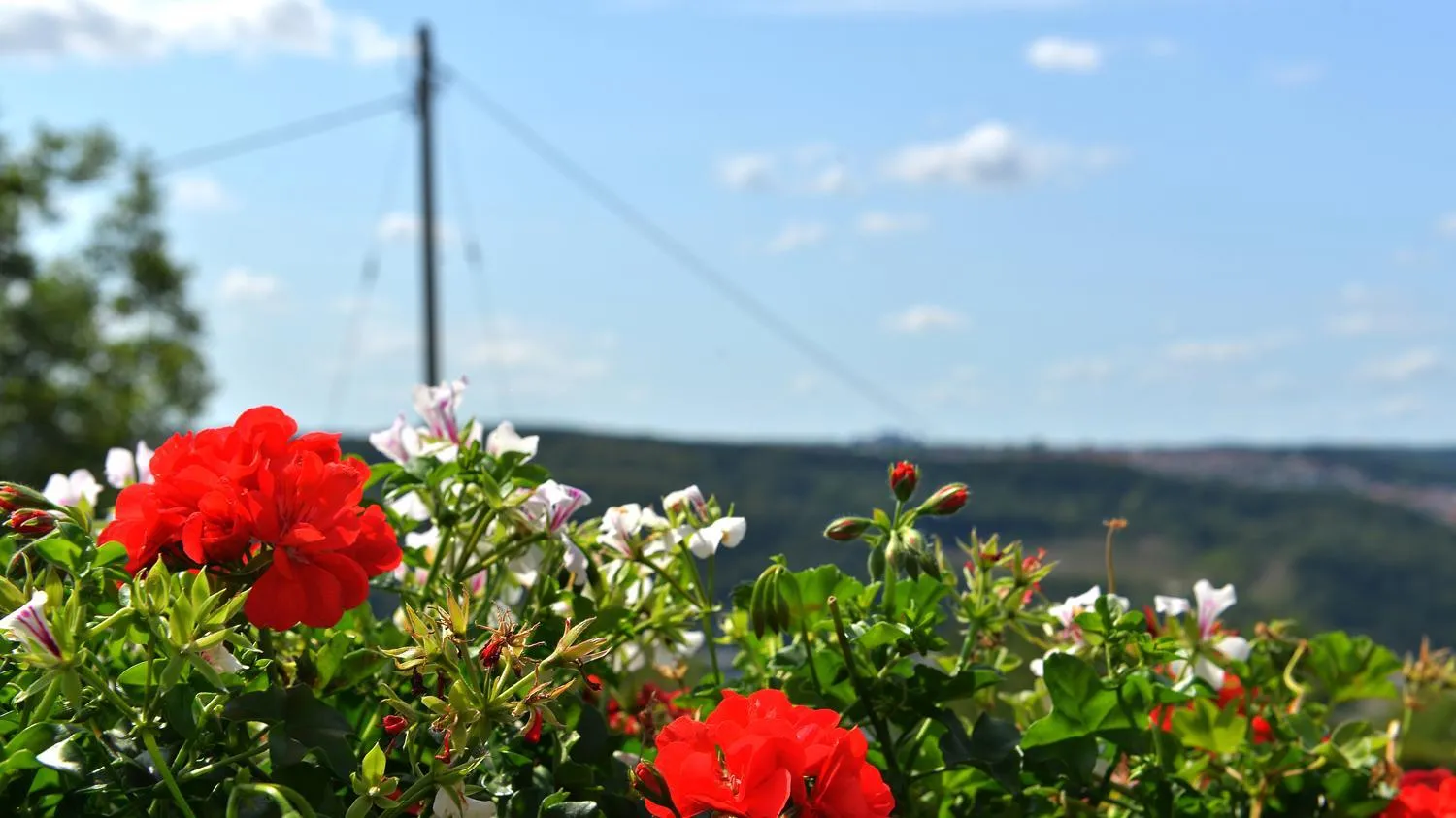 Day in Hotel-Restaurant Kelter