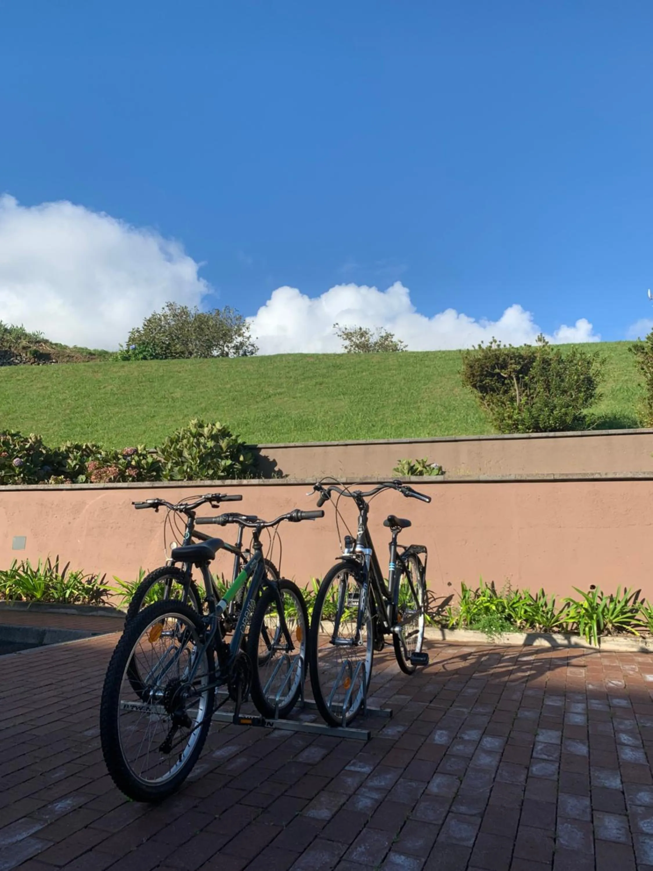 Activities in The Lince Nordeste