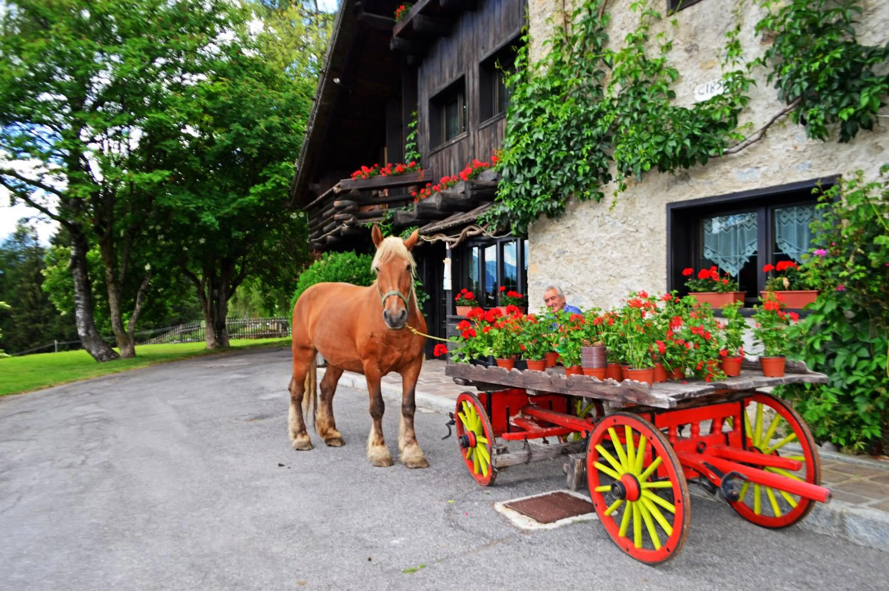 Property building in Albergo Ristorante Al Fratè da Streza