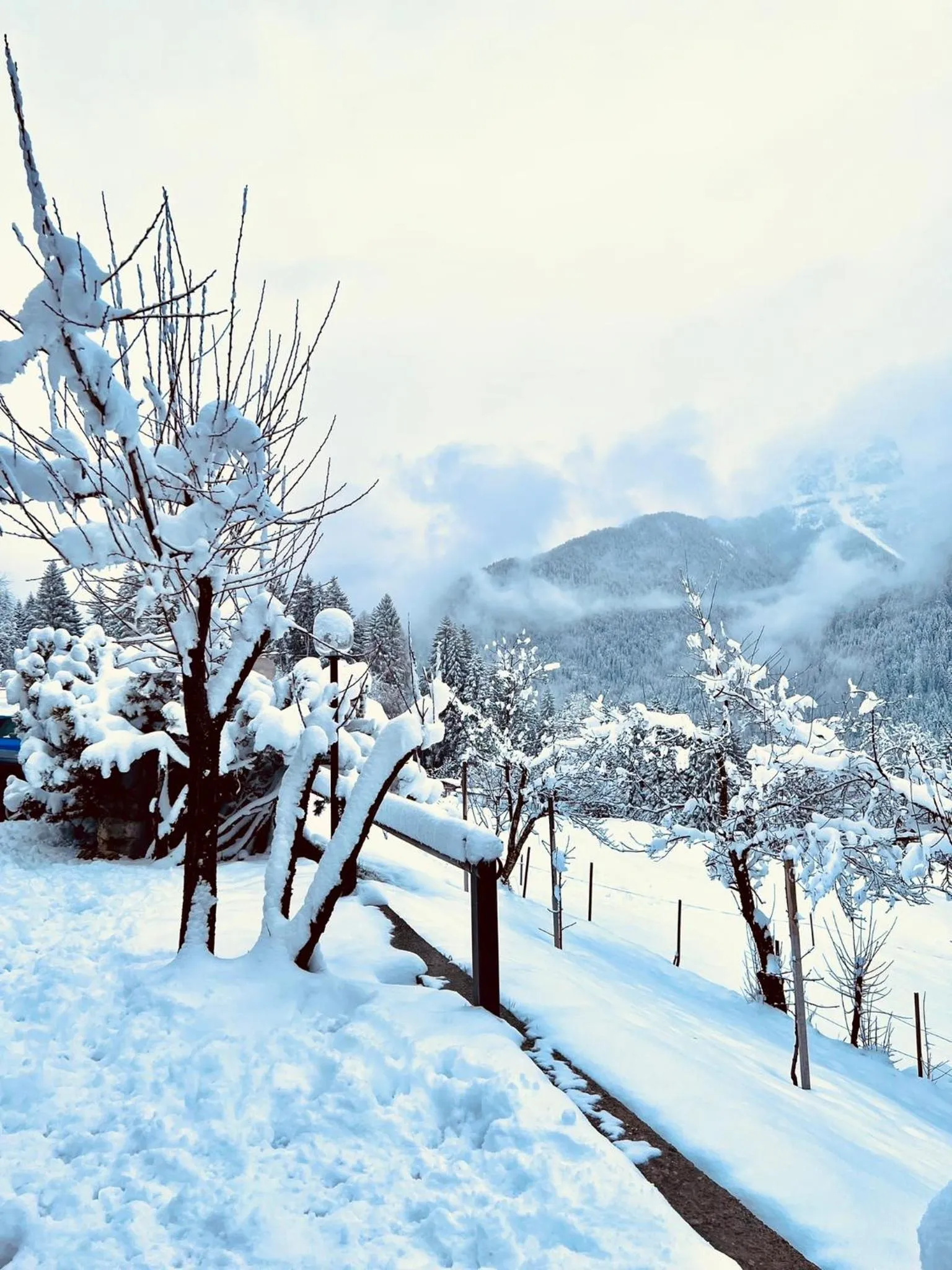Albergo Ristorante Al Fratè da Streza