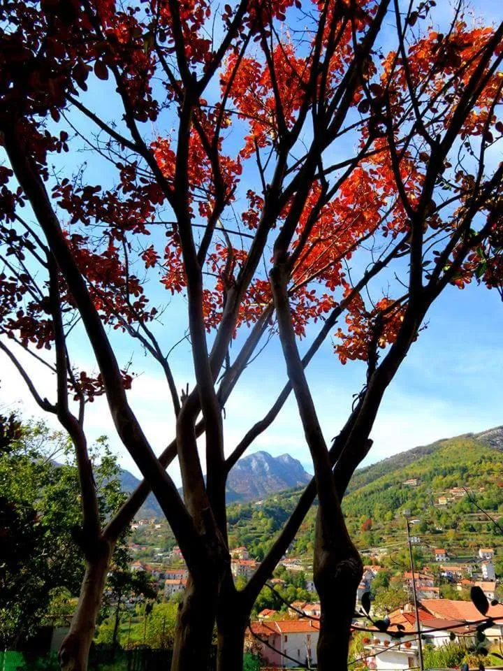 Il Casale del Generale