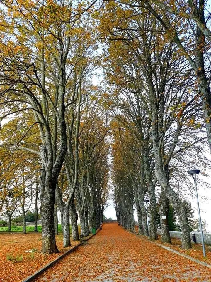 Il Casale del Generale