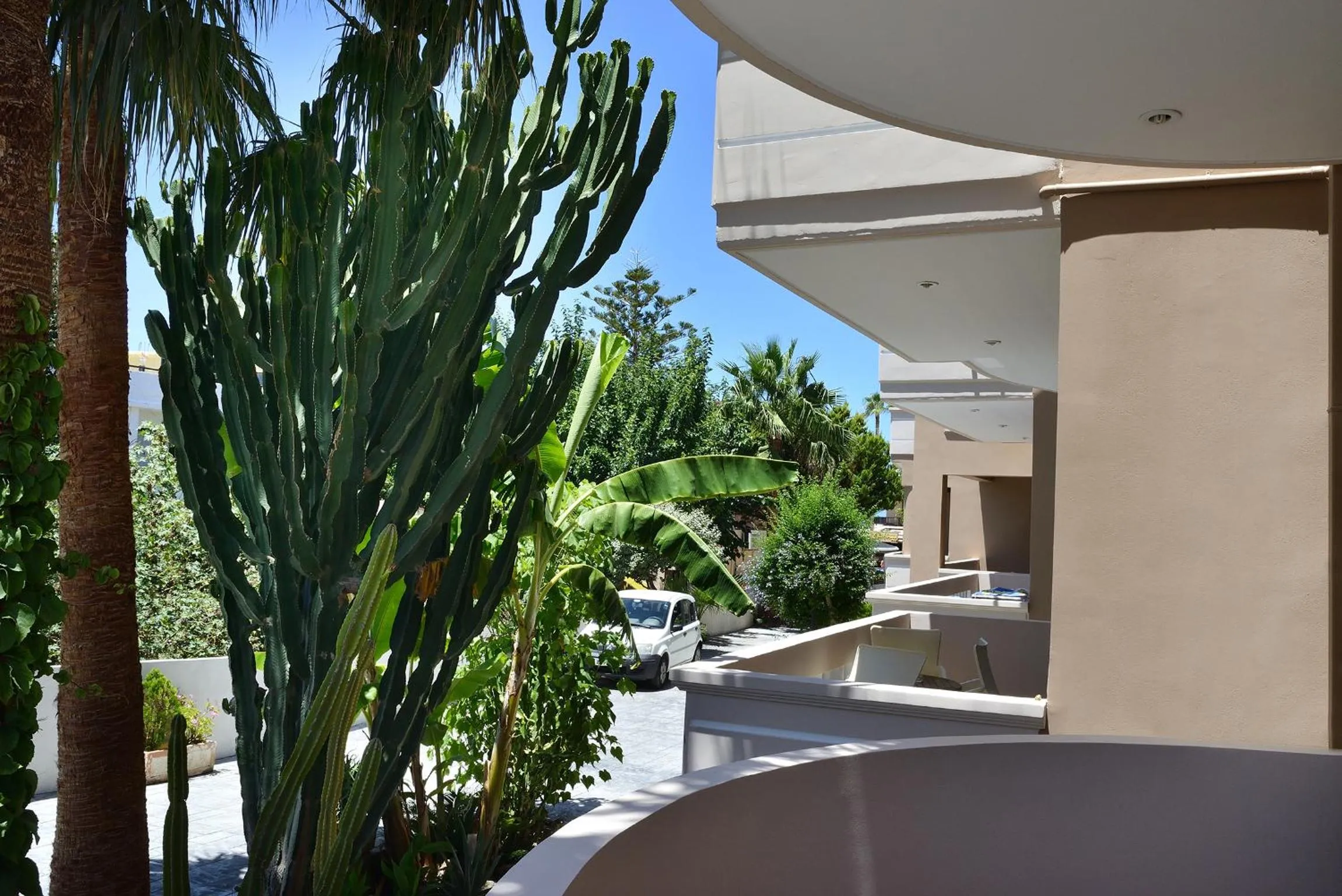 Garden in Akatos Hotel