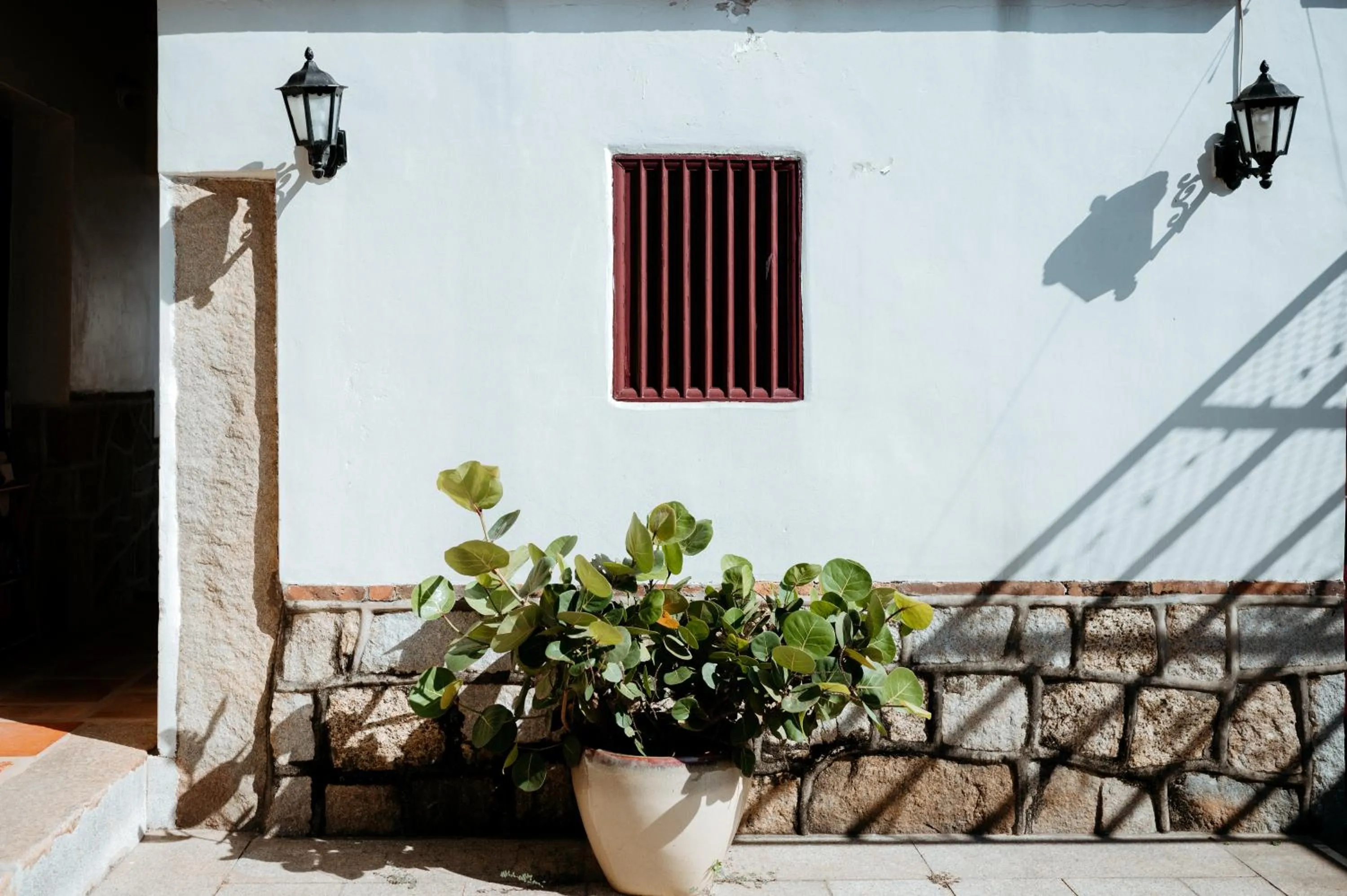 Patio in Live Guest House