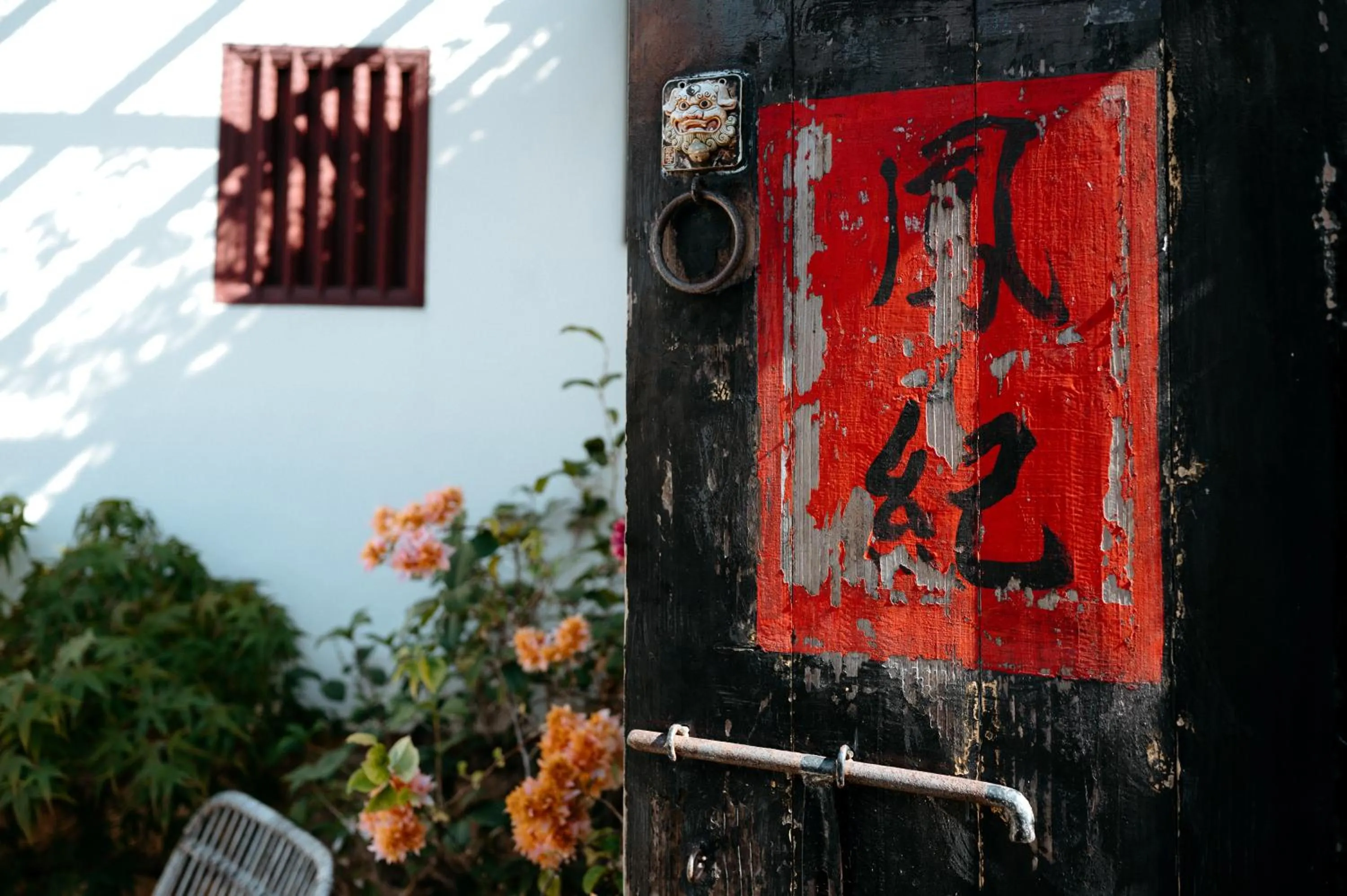 Garden in Live Guest House