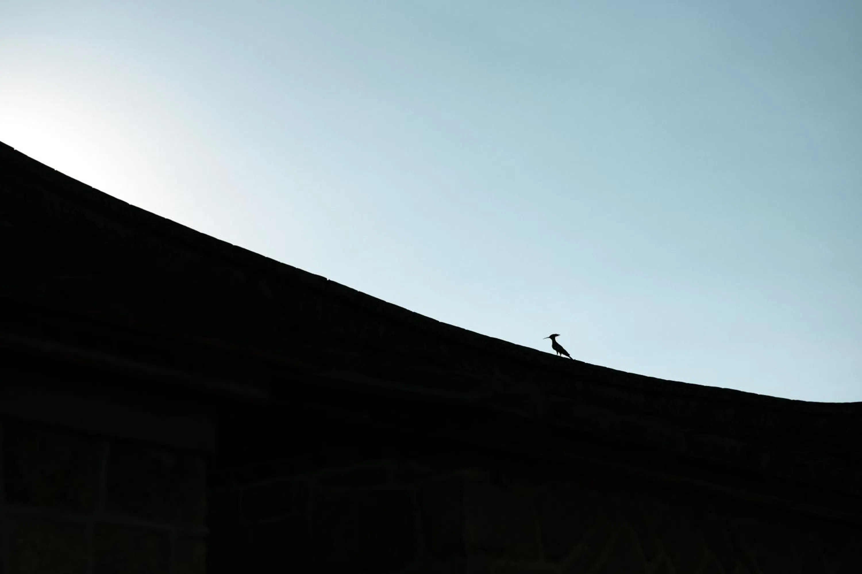 Other in Live Guest House