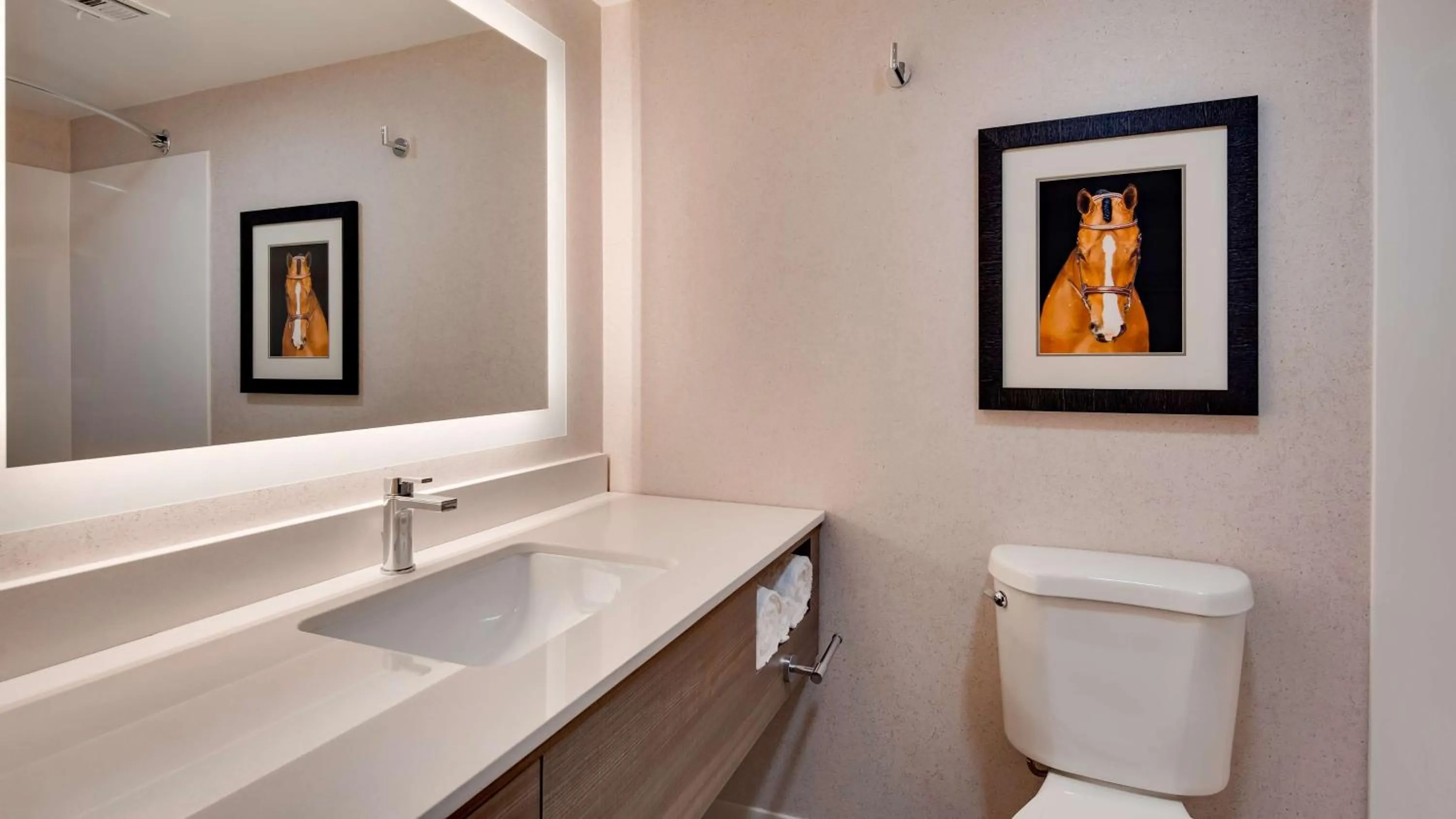 Bathroom in Aiden by Best Western Scottsdale North