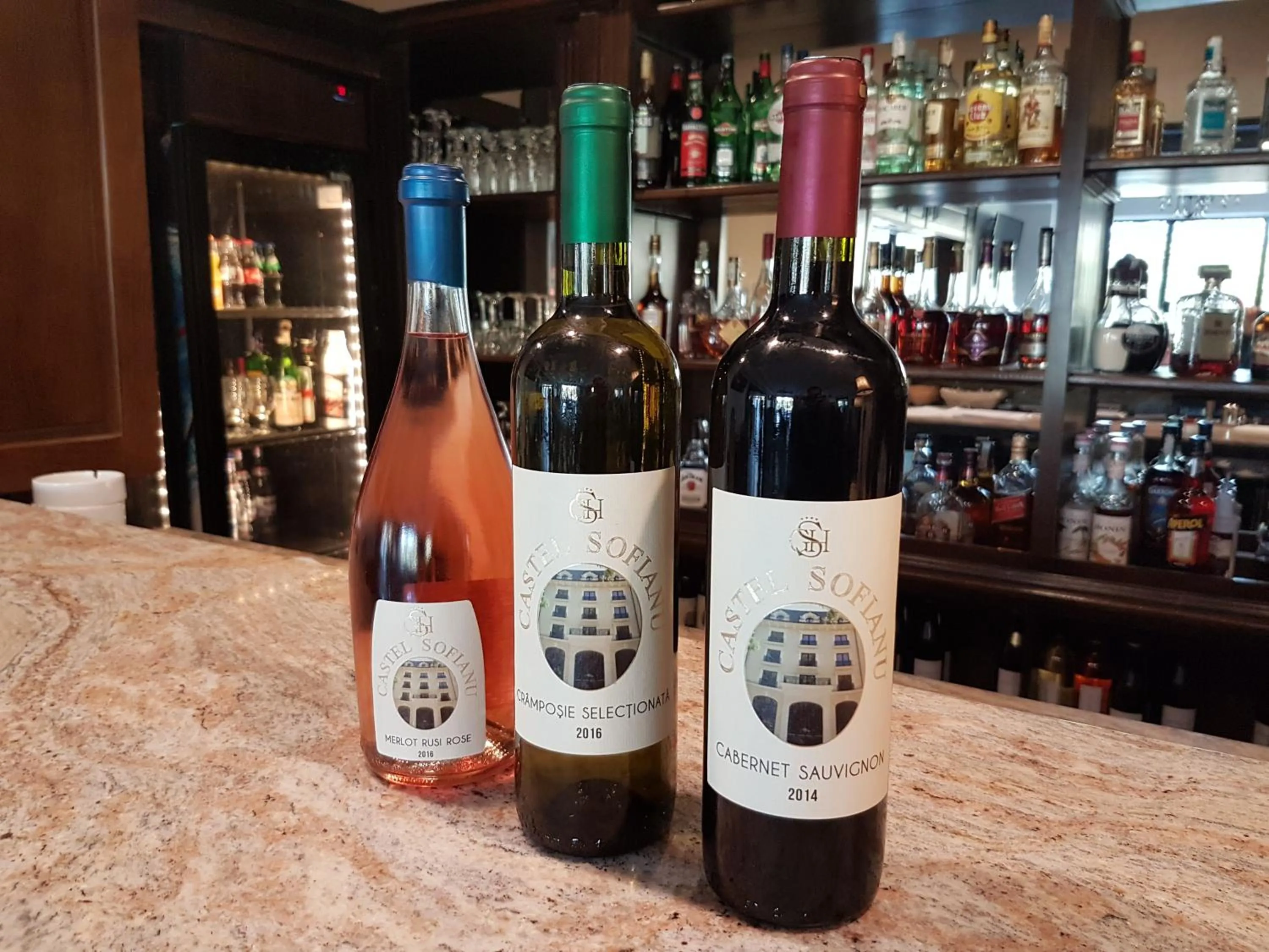 Lounge or bar in Grand Hotel Sofianu