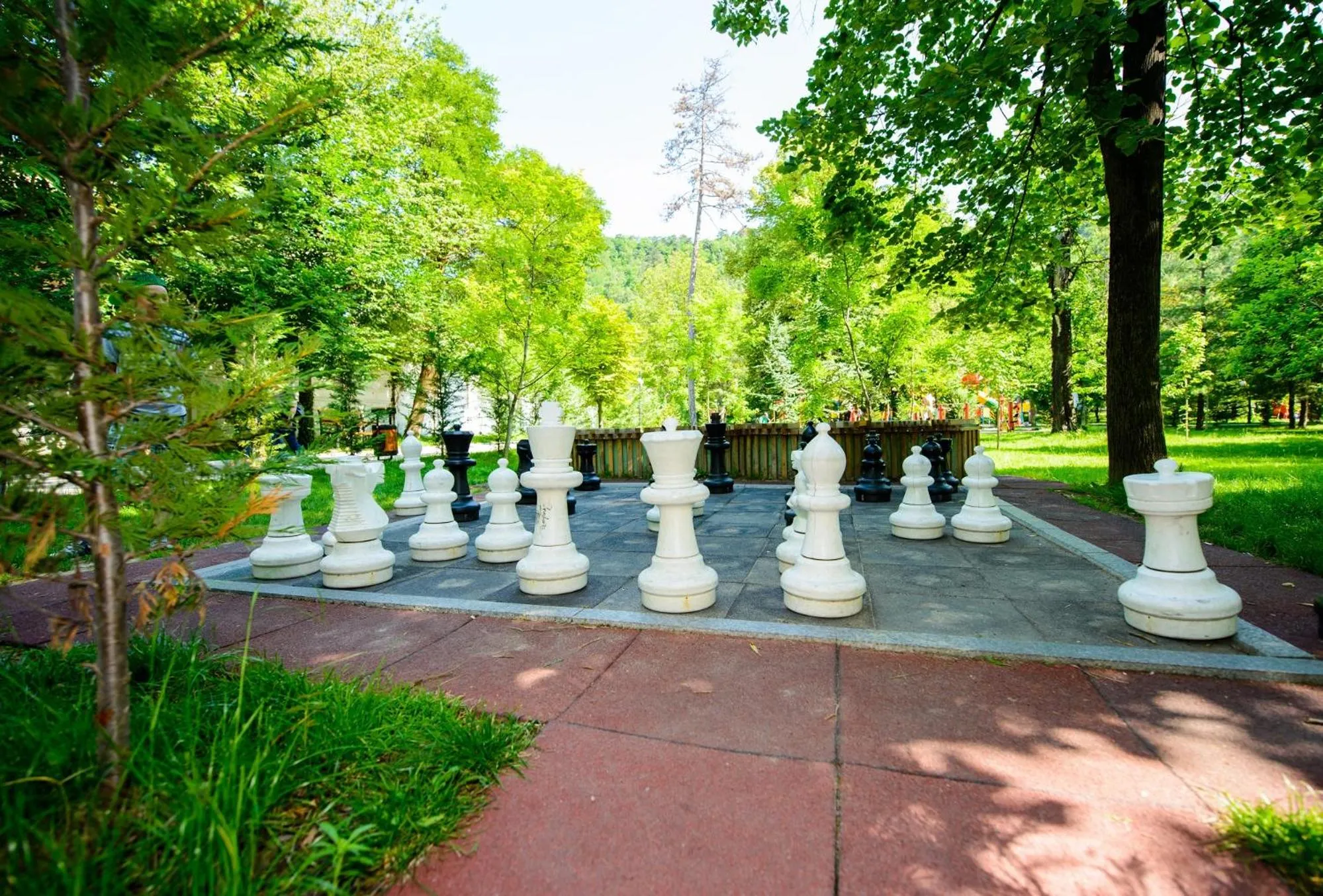 Entertainment in Grand Hotel Sofianu