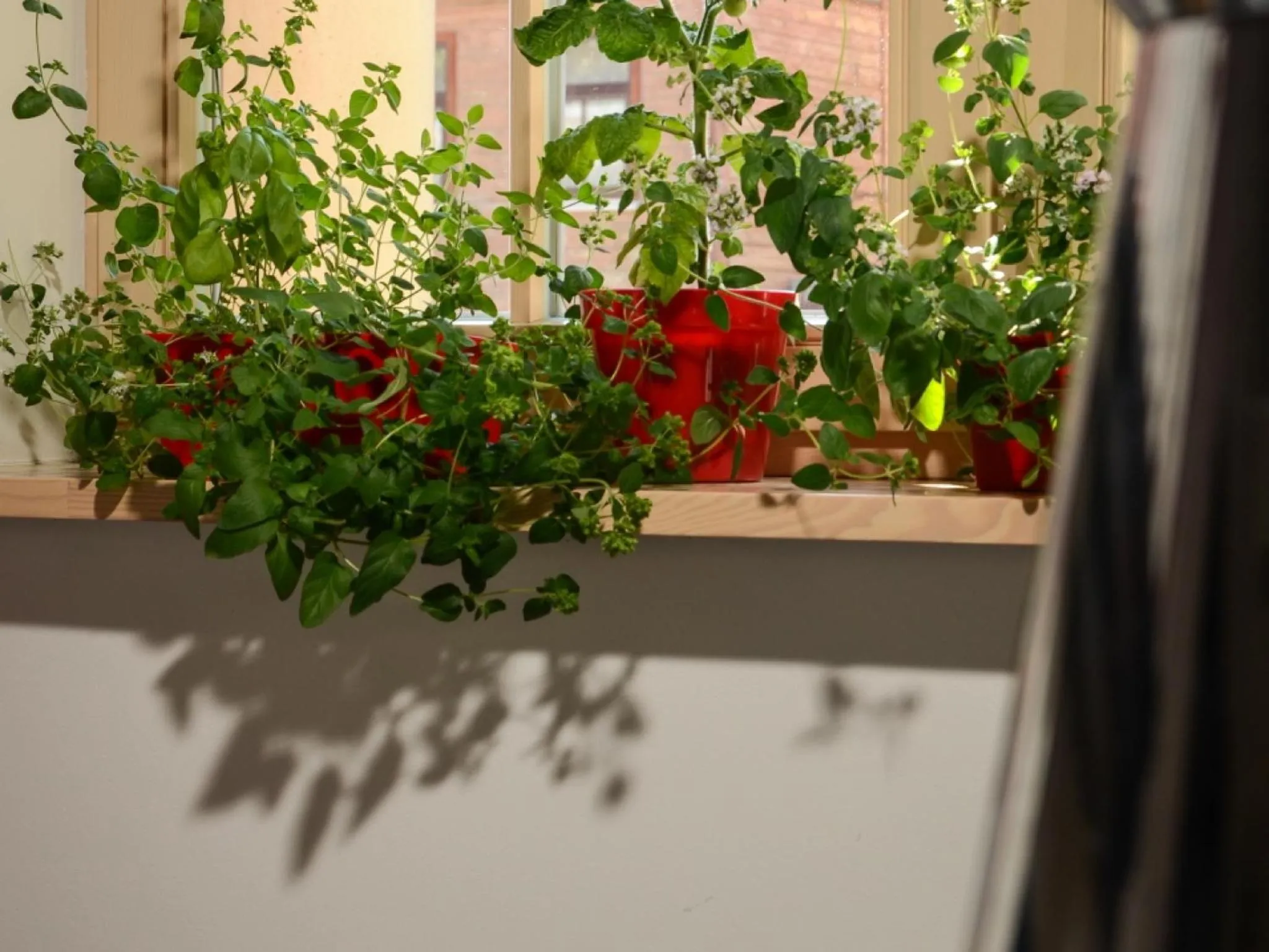 Decorative detail in Mans Nams - self check in hotel