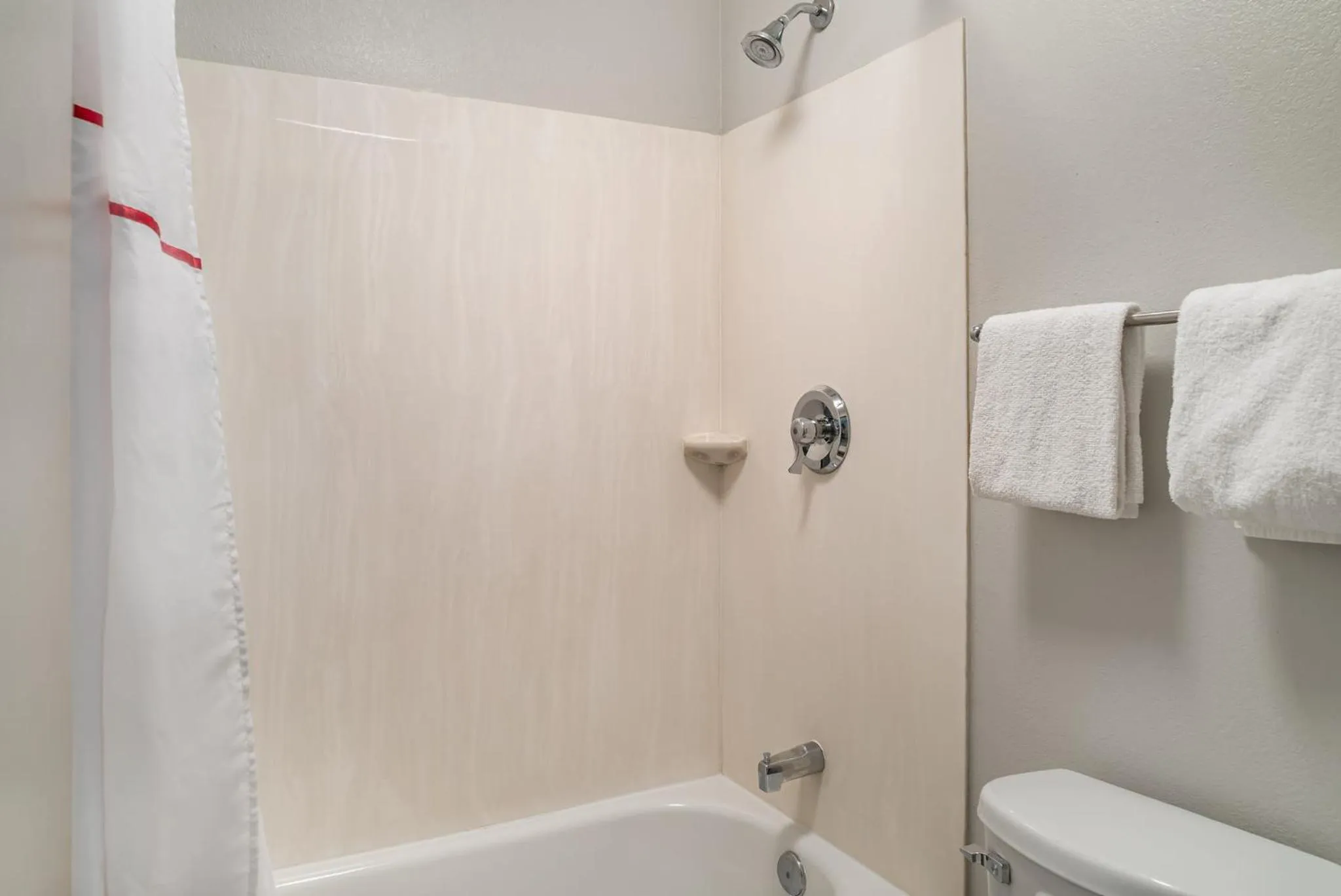 Bathroom in Red Roof Inn Detroit Metro Airport - Taylor