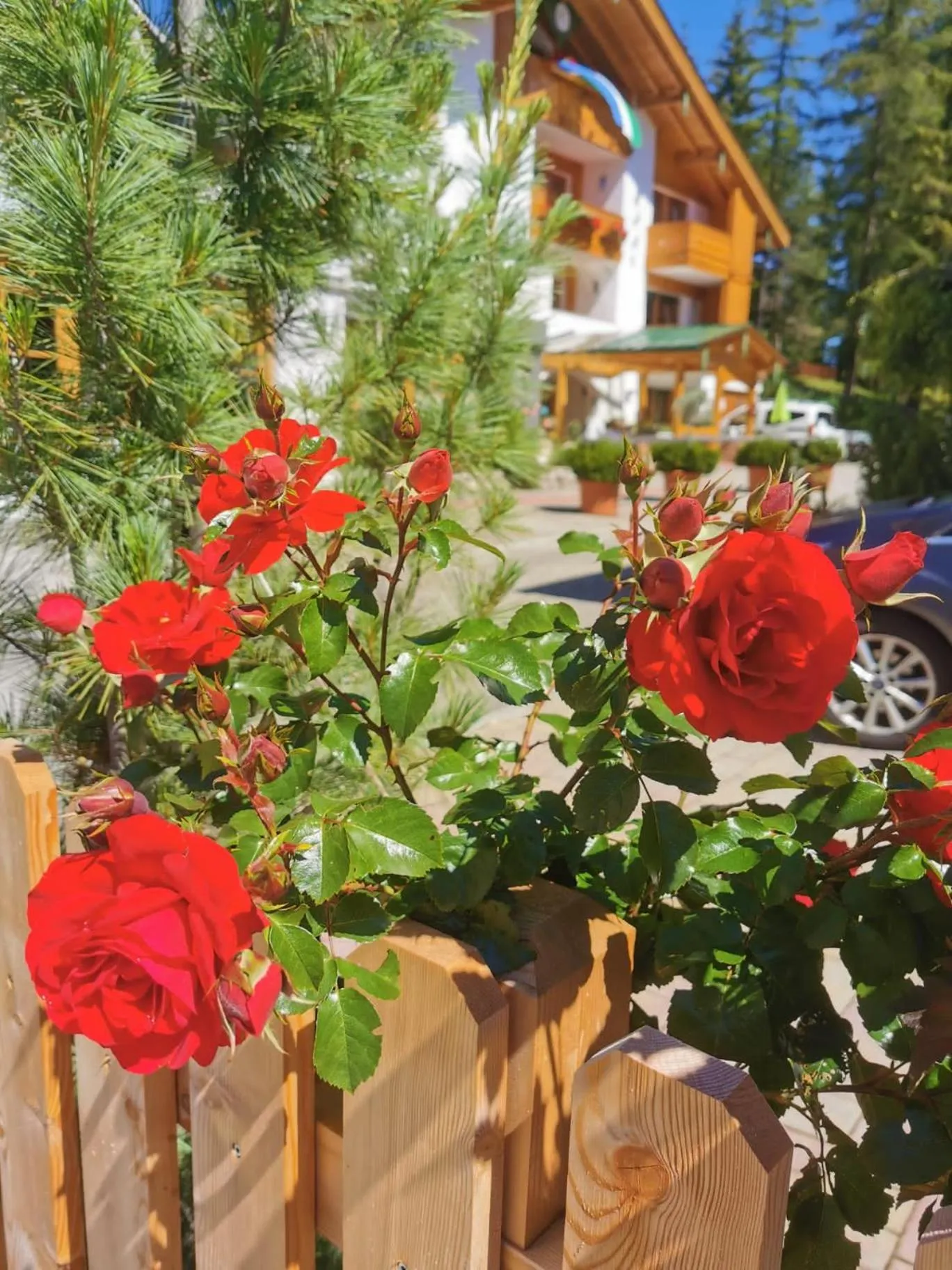 Property building in B&B Tamarindo