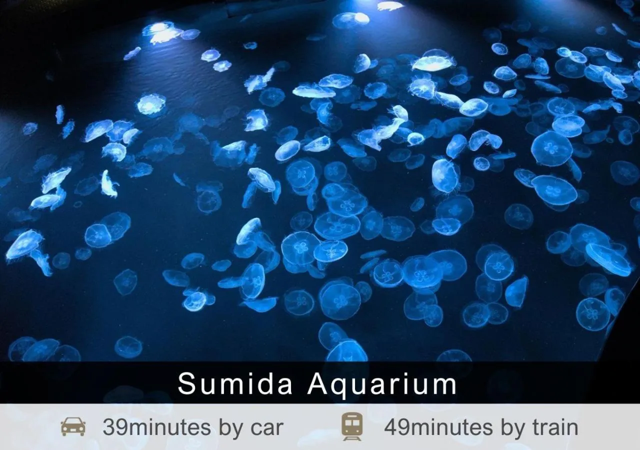 Nearby landmark in Tokyu Stay Aoyama Premier