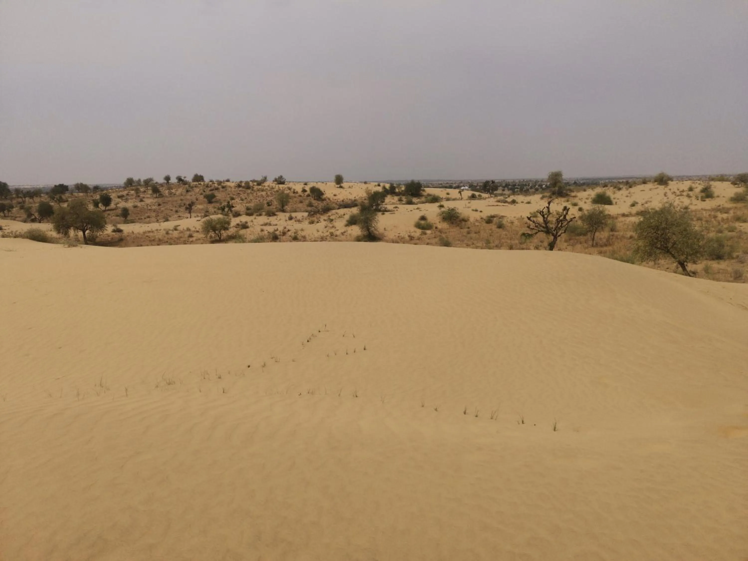 Day in Dhora Desert Resort And Spa