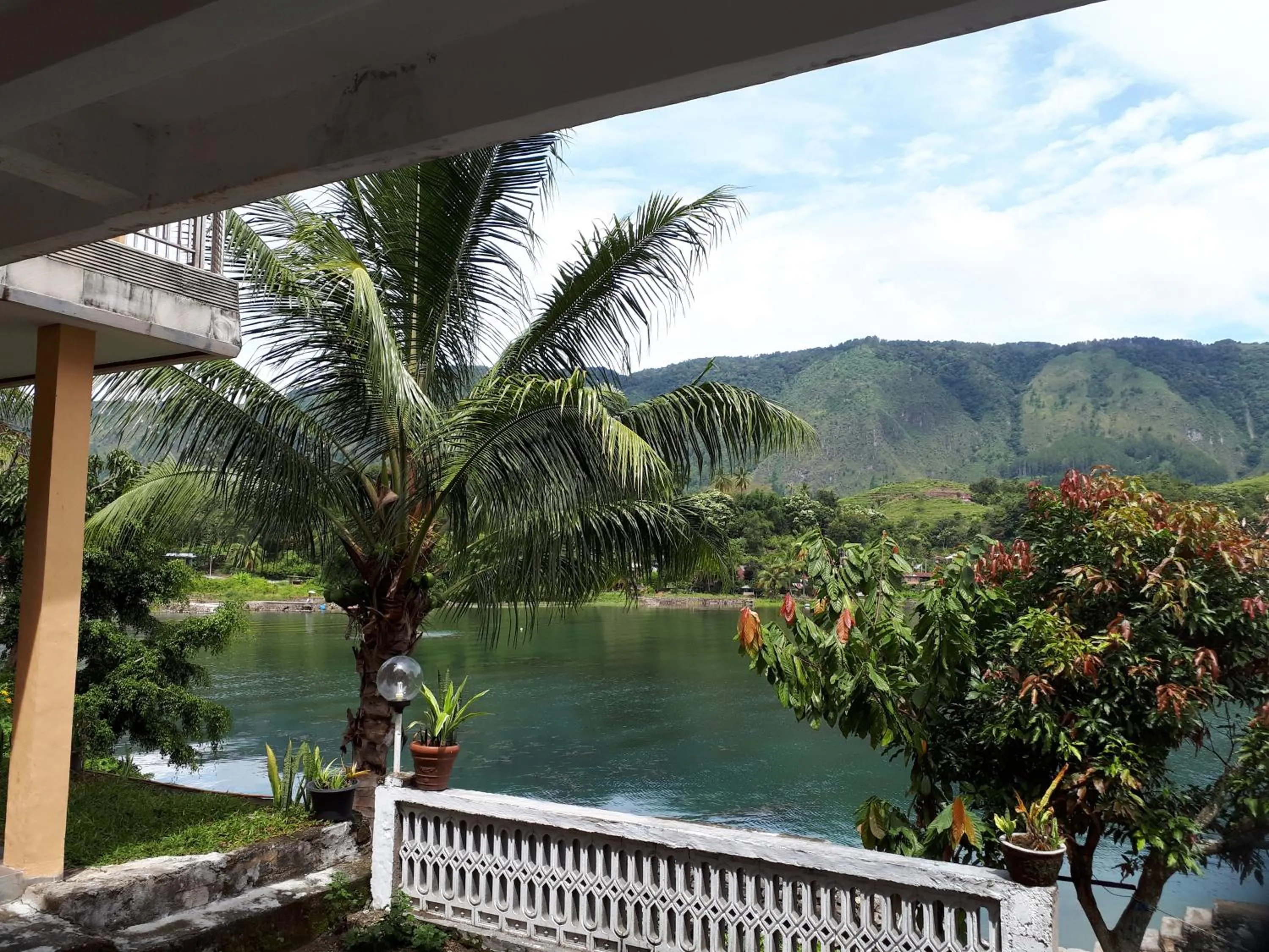 Garden in Aman's Guesthouse