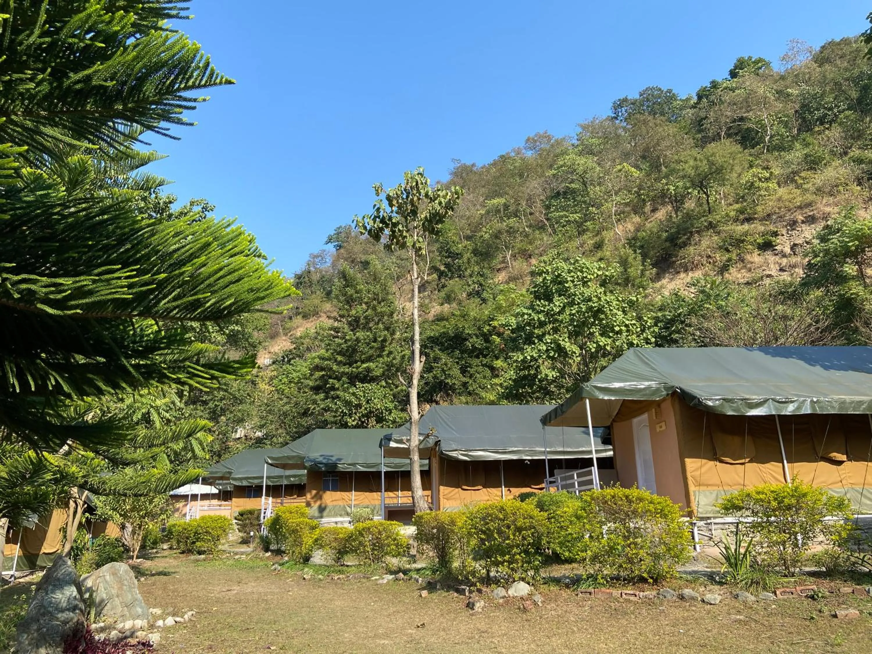 Natural landscape in Banyan By The Ganges