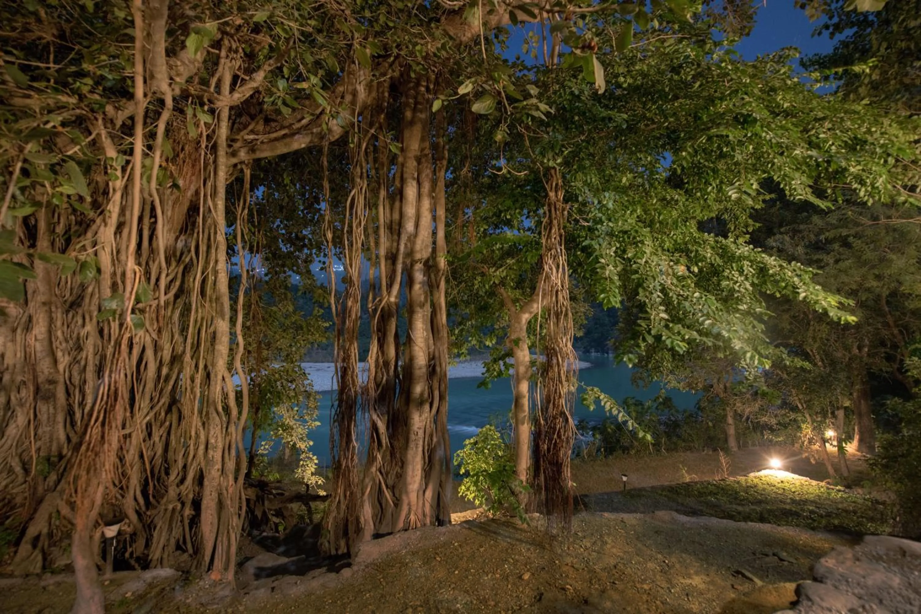 View (from property/room) in Banyan By The Ganges