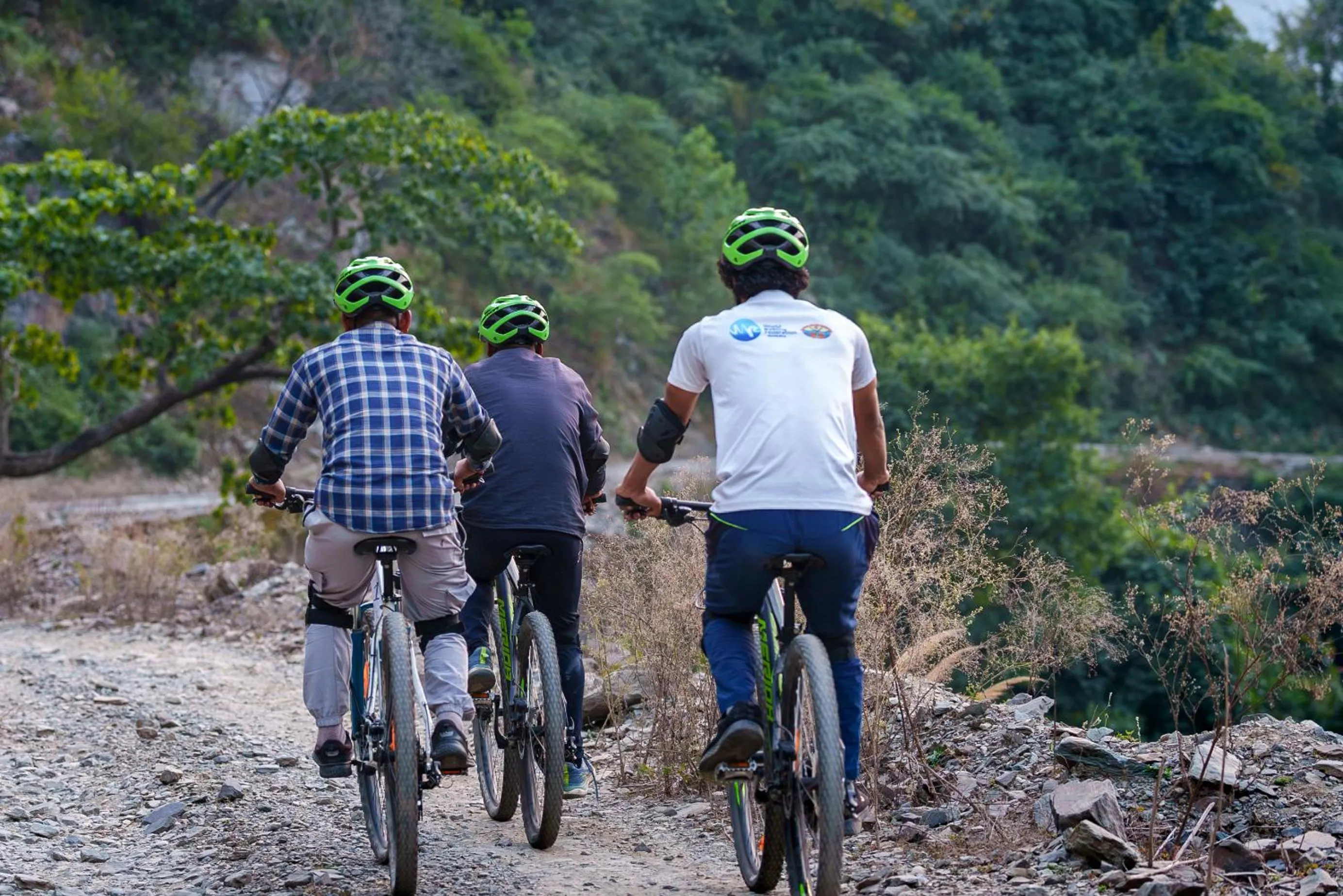 Activities in Banyan By The Ganges