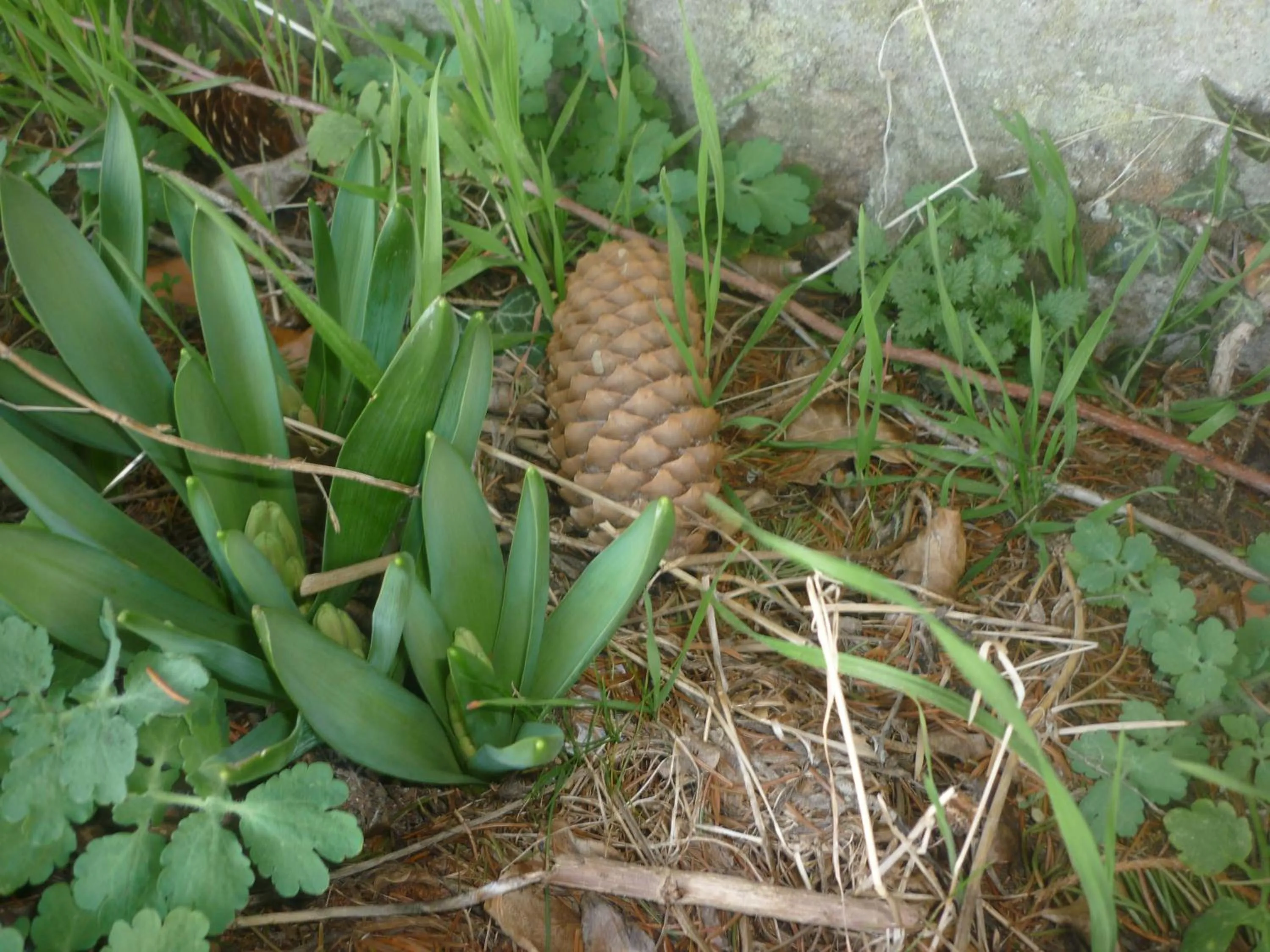 B&B Chambre Chante Cristal