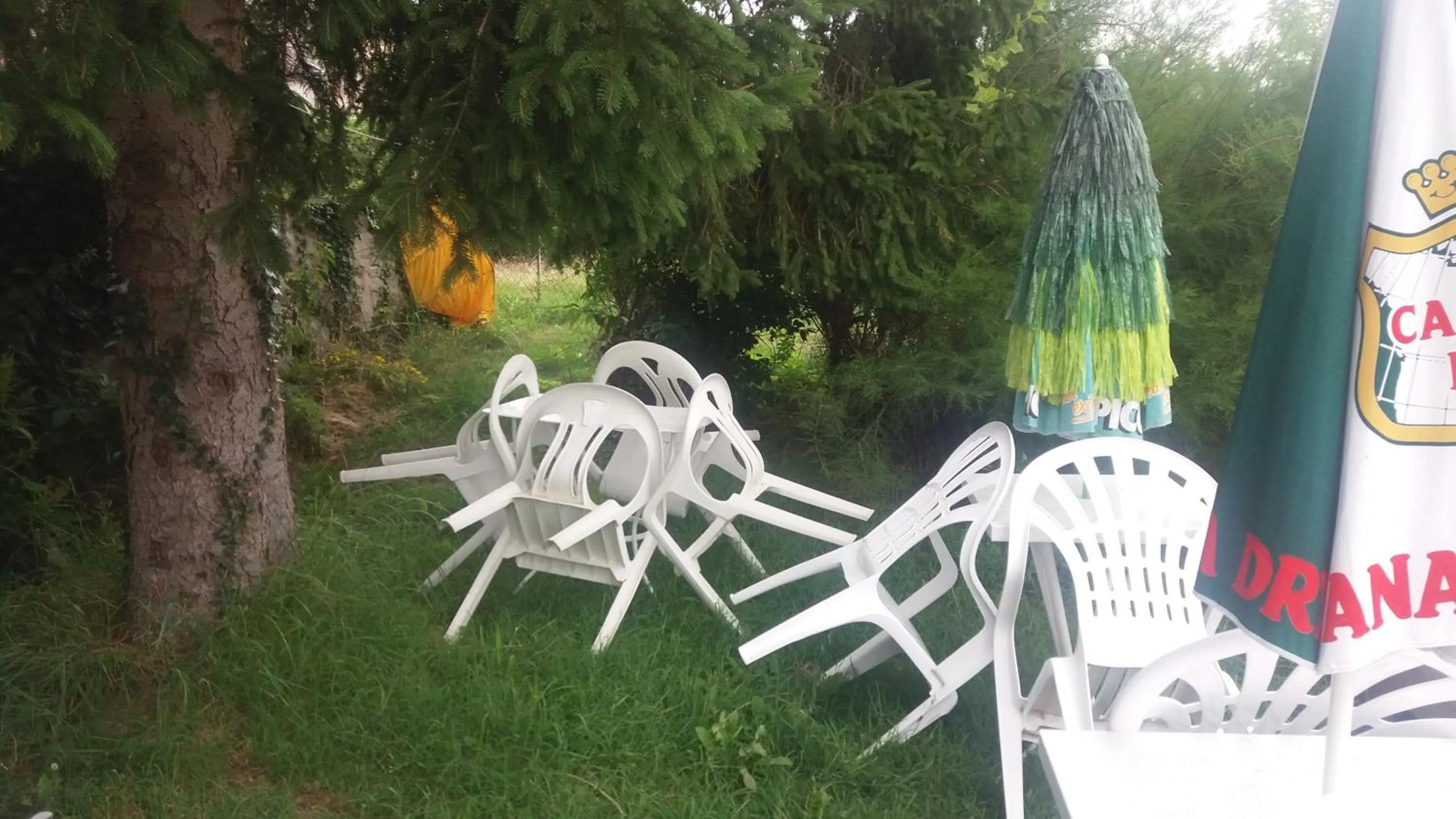 Garden in B&B Chambre Chante Cristal