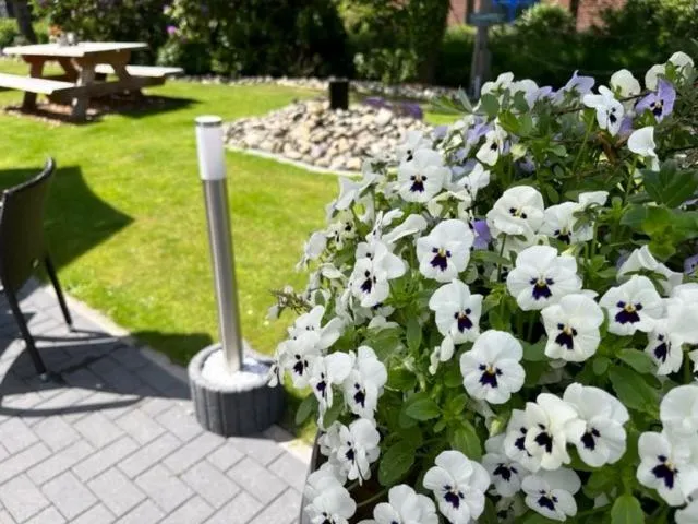 Garden in WH Hotels Papenburg Zentrum