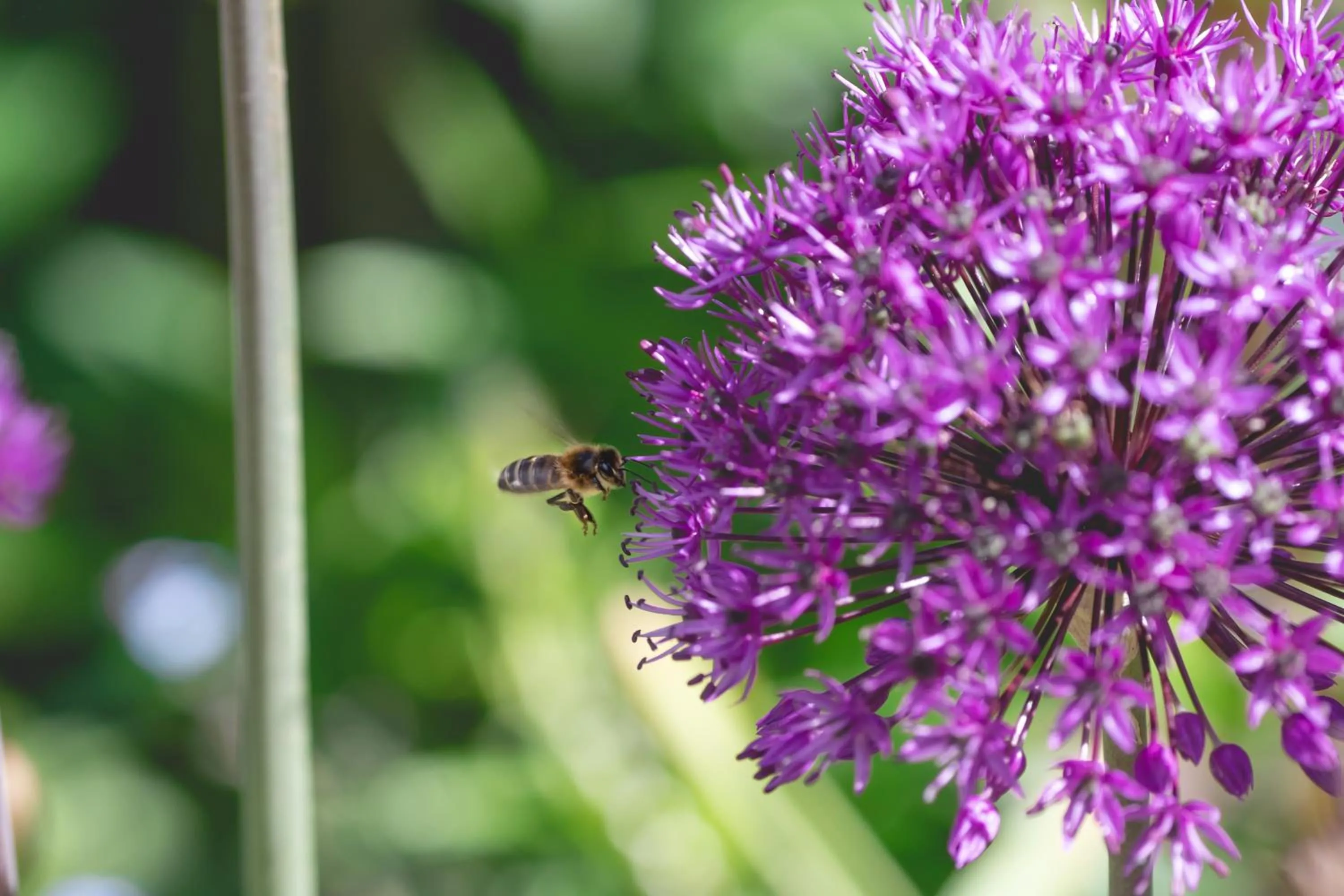 Day in The Old Vicarage Hotel & Restaurant