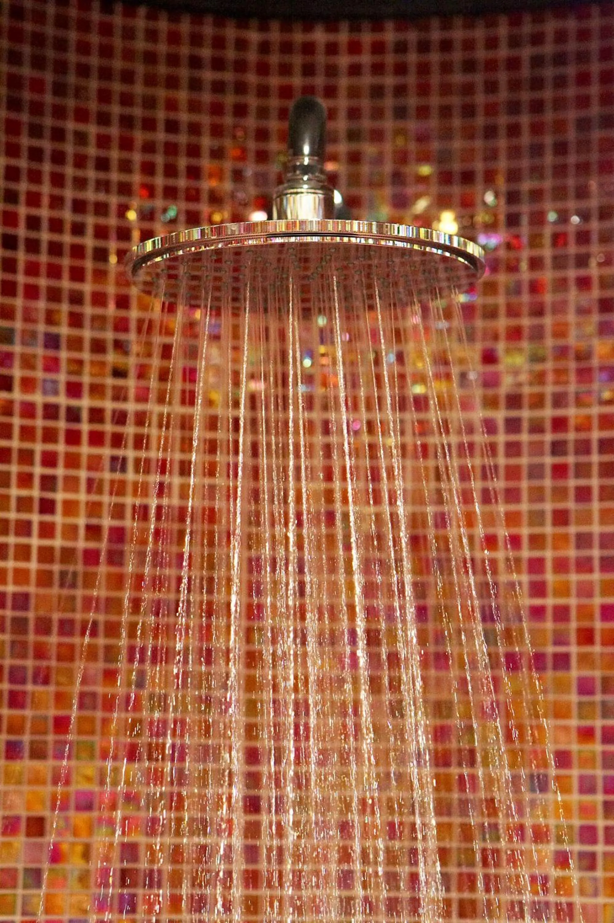 Spa and wellness centre/facilities in Hotel Sant Roc