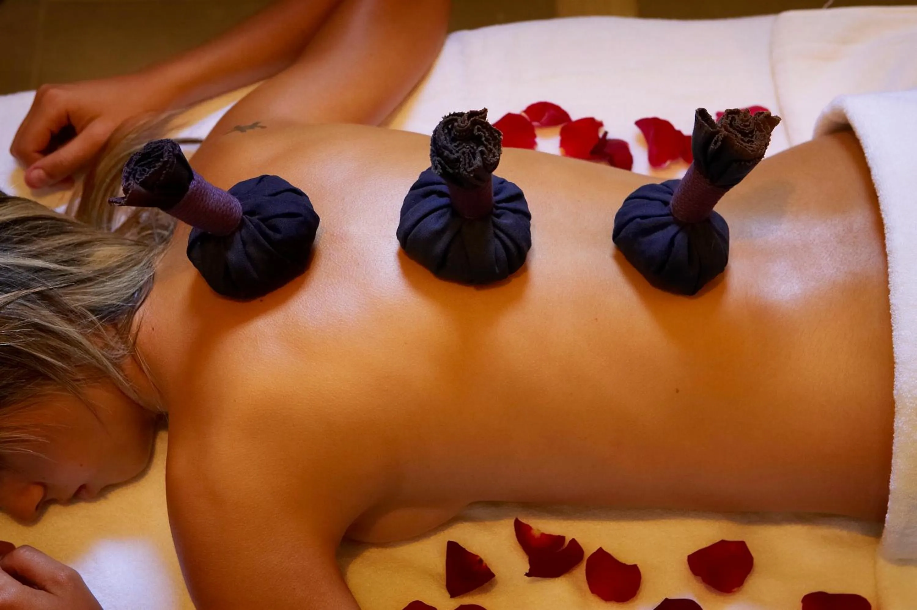 Spa and wellness centre/facilities in Hotel Sant Roc