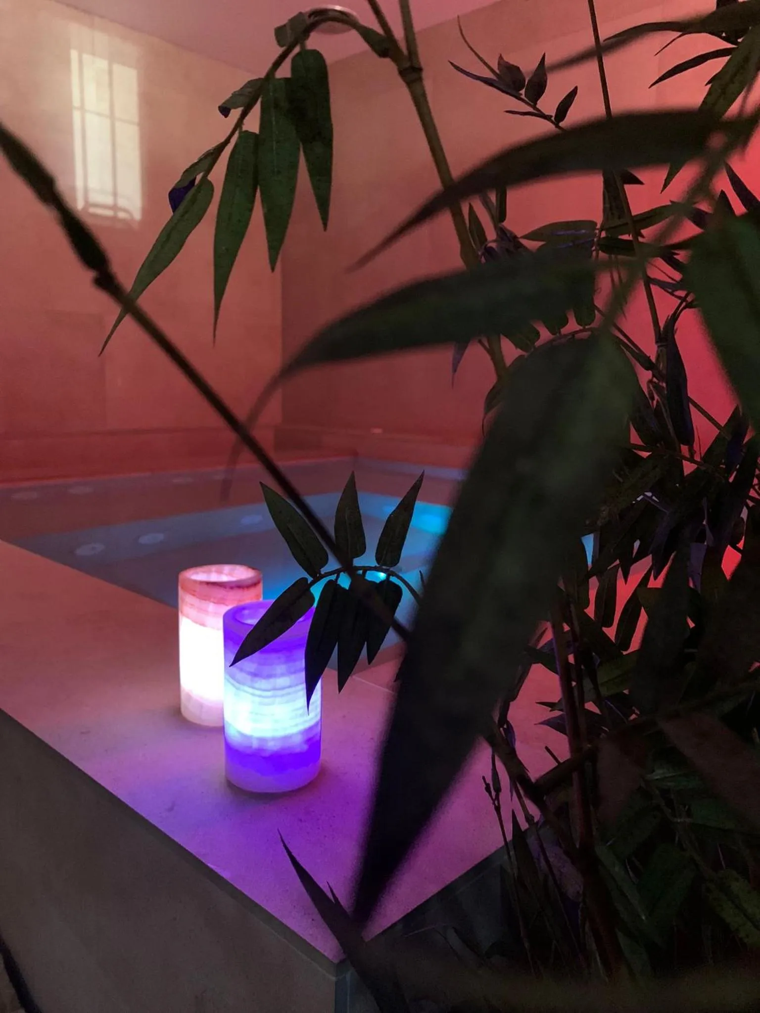 Spa and wellness centre/facilities in Hotel Sant Roc