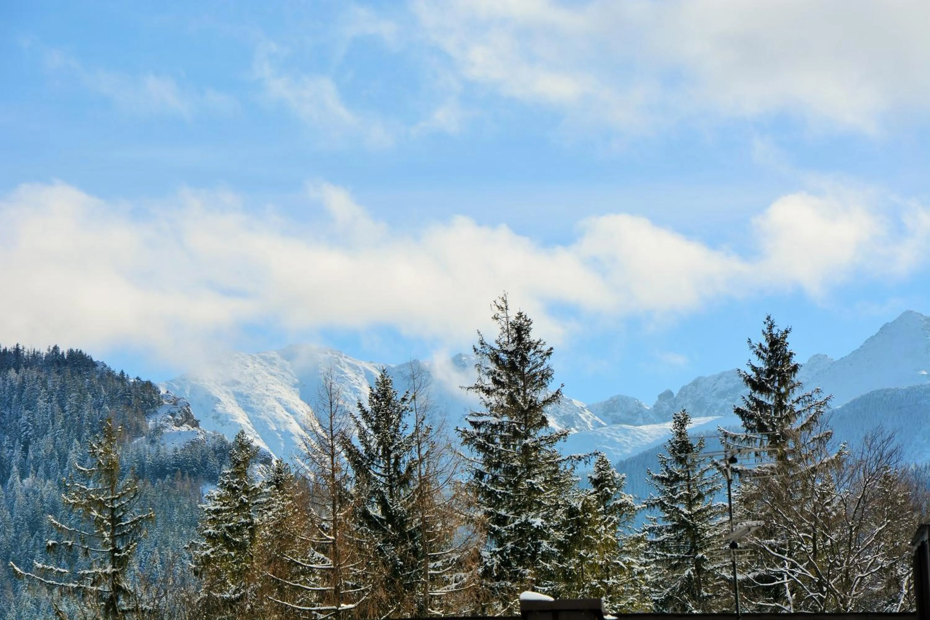 View (from property/room) in Hotel Boruta