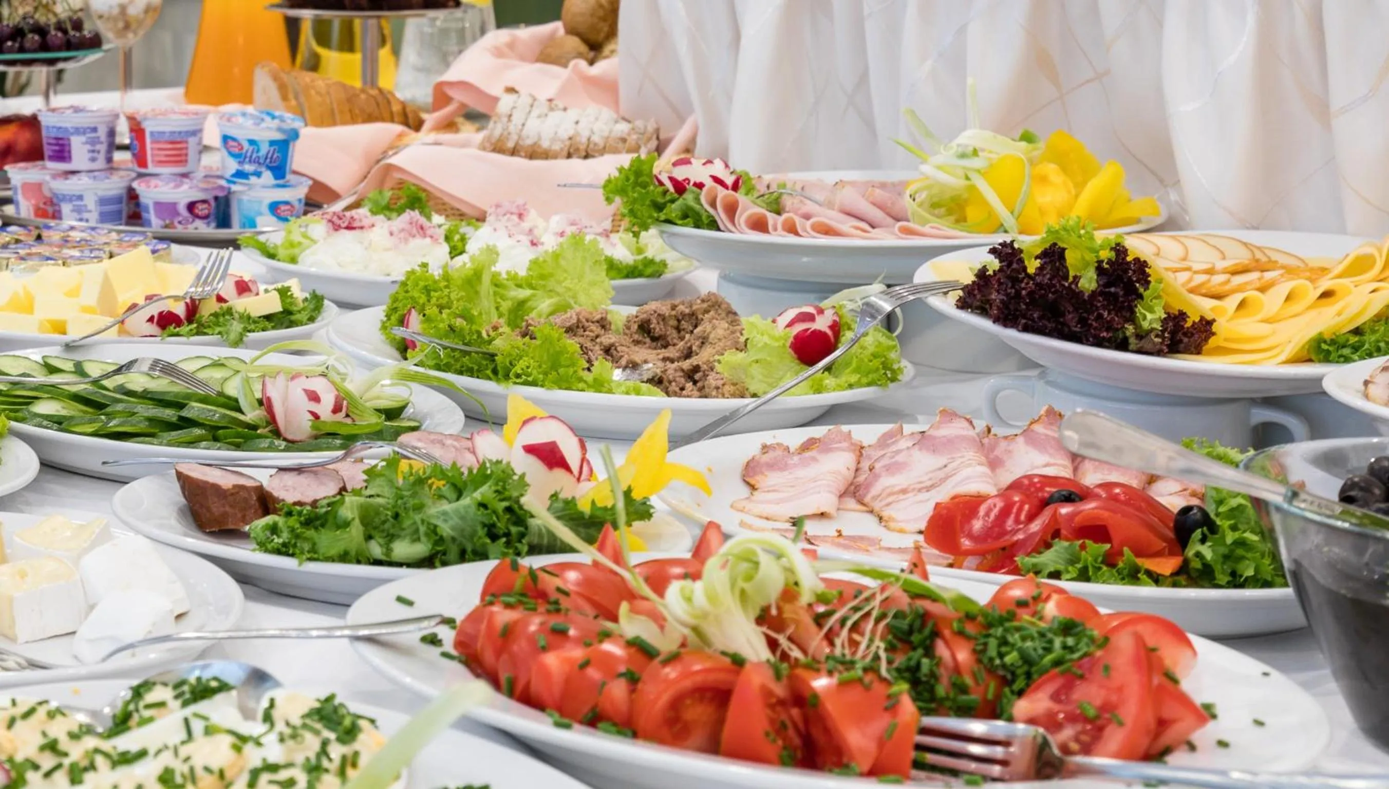 Buffet breakfast in Hotel Boruta