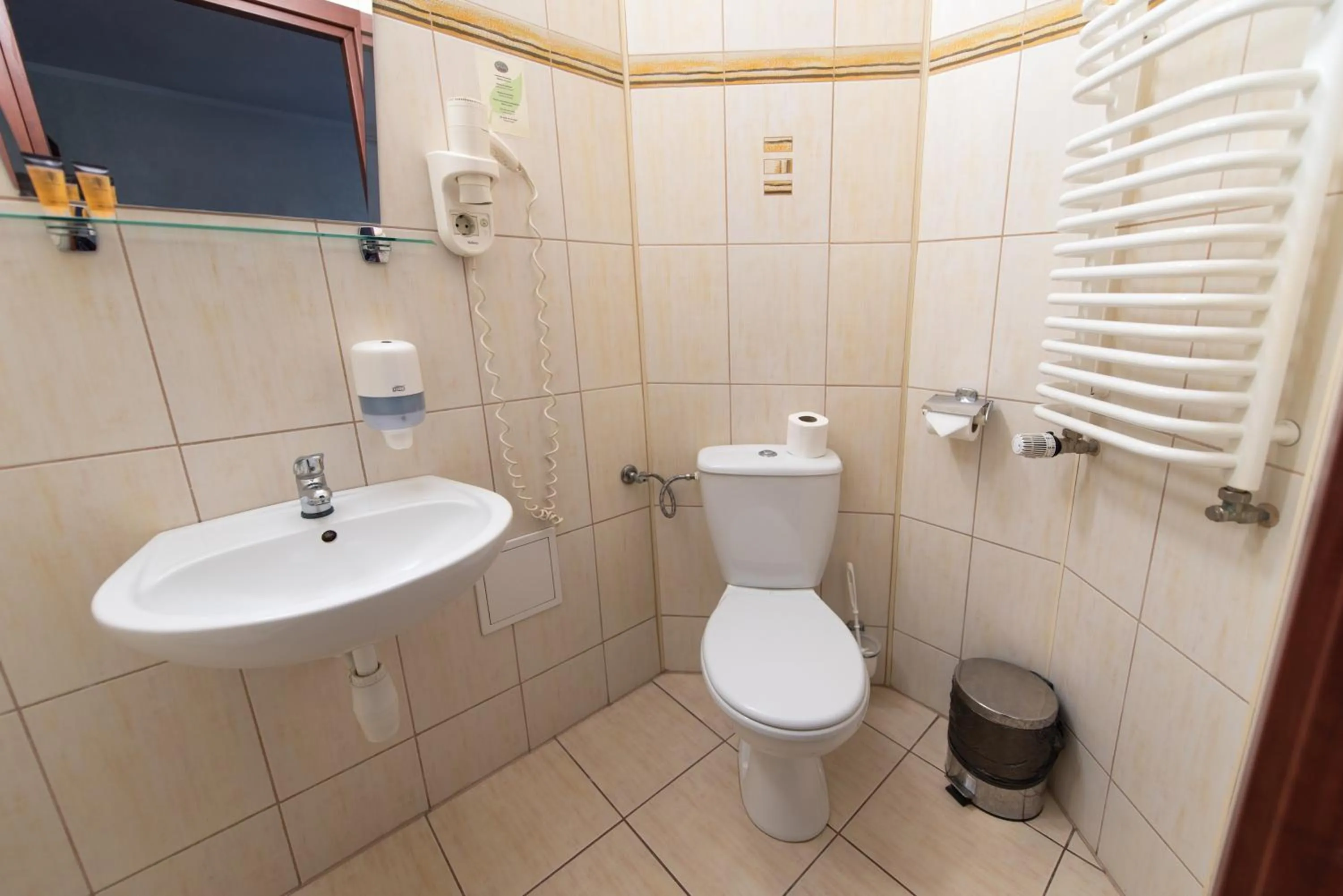 Bathroom in Hotel Grand Felix