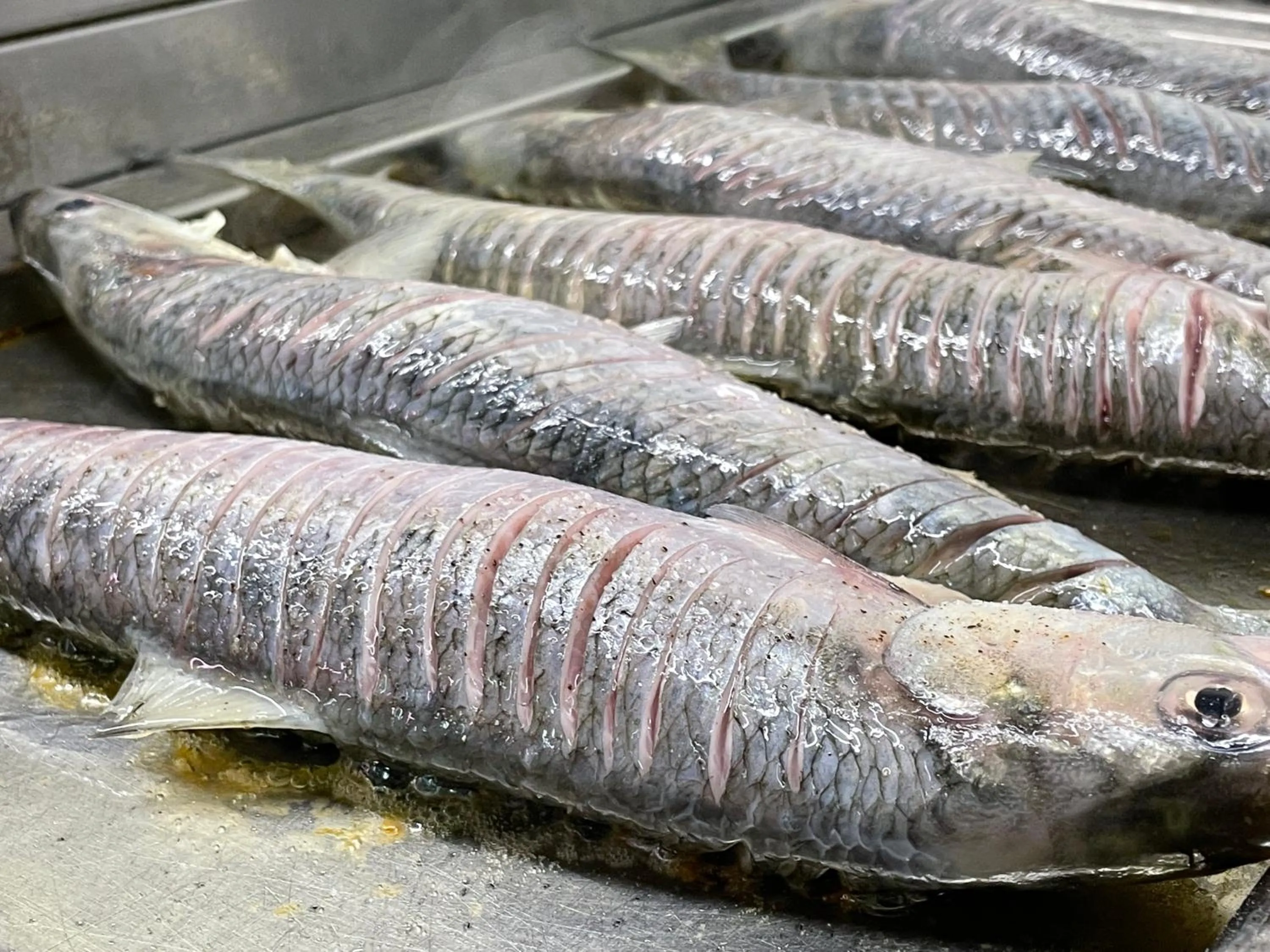 Restaurant/places to eat in Casa Teo