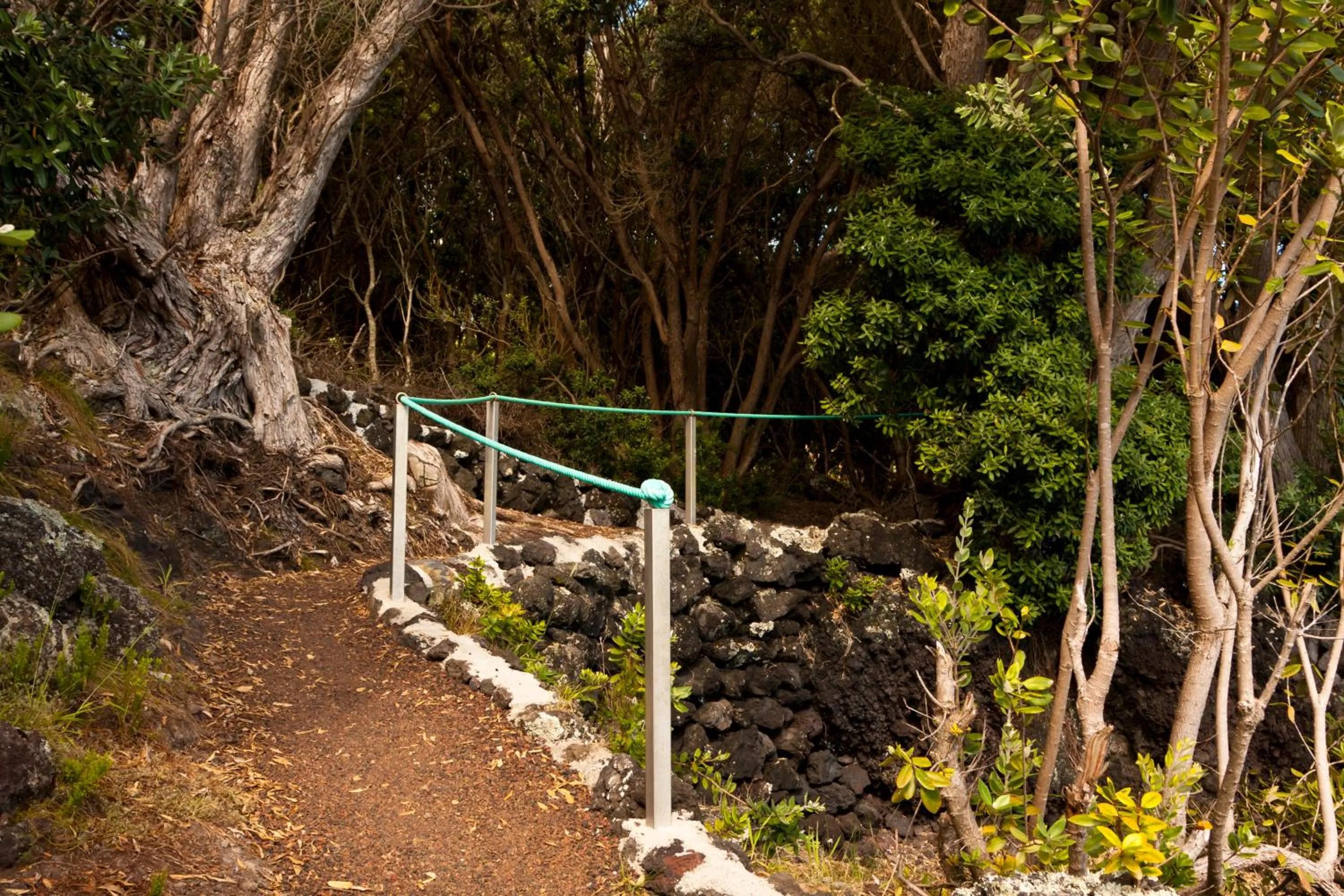 Hiking in Aldeia da Fonte Hotel