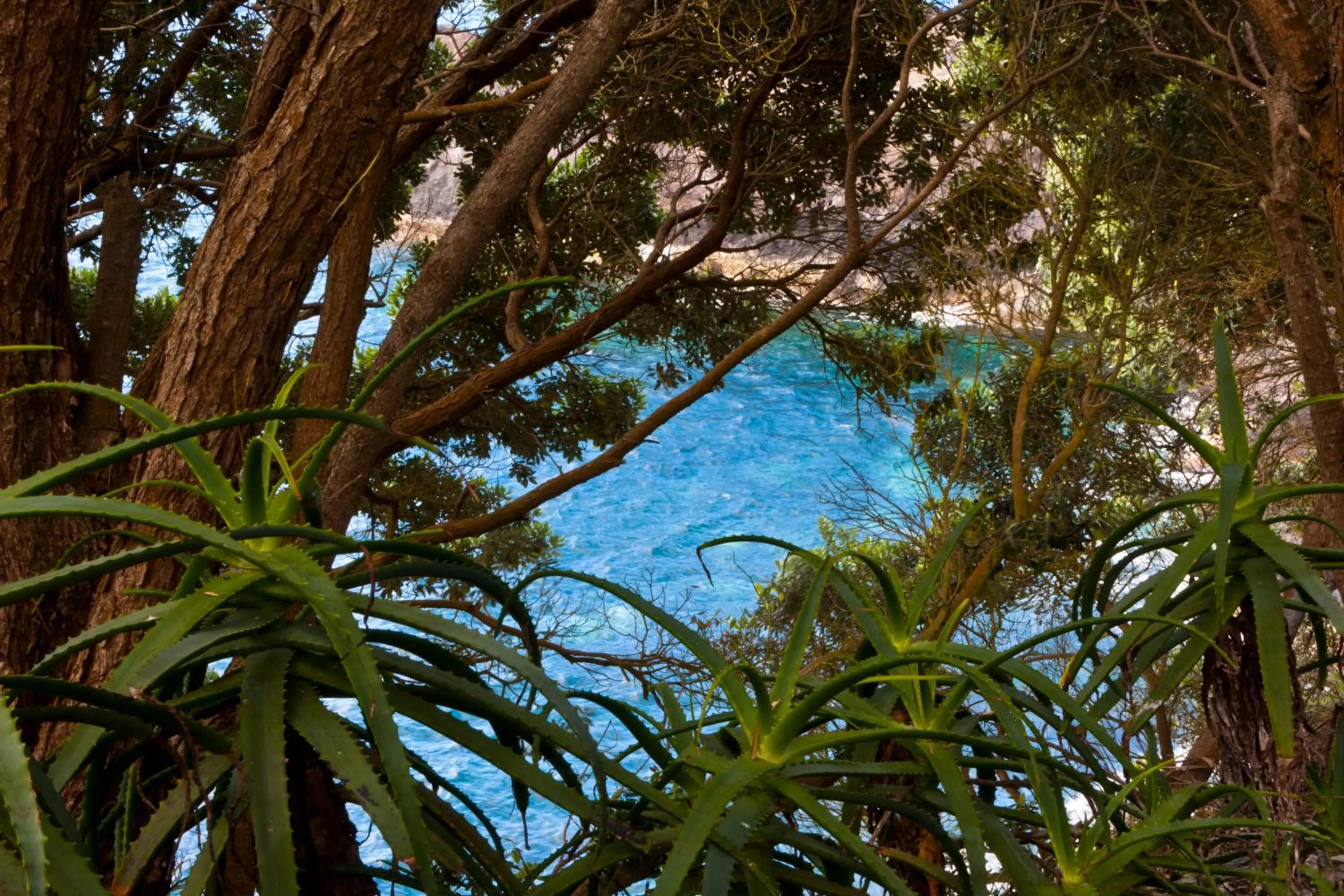Garden in Aldeia da Fonte Hotel