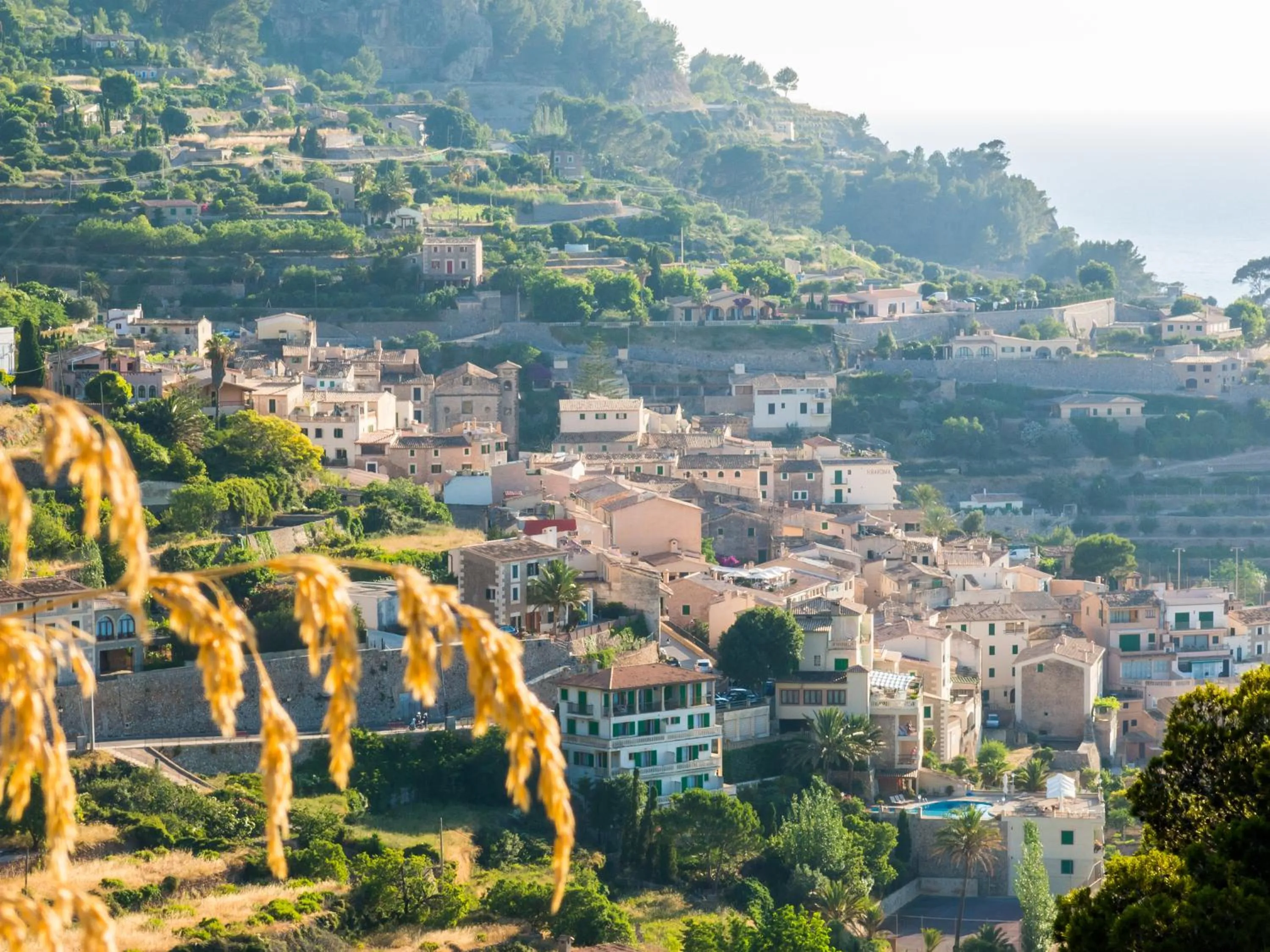 View (from property/room) in Hostal Sa Baronia