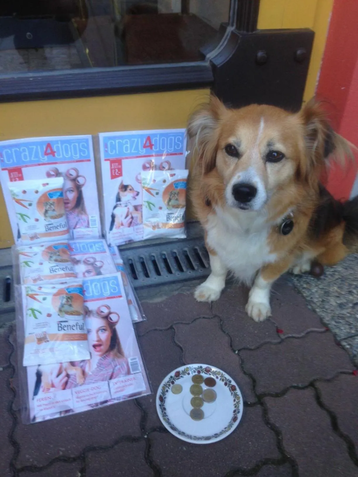 Pets in Hotel Aloisia, Hotel Garni