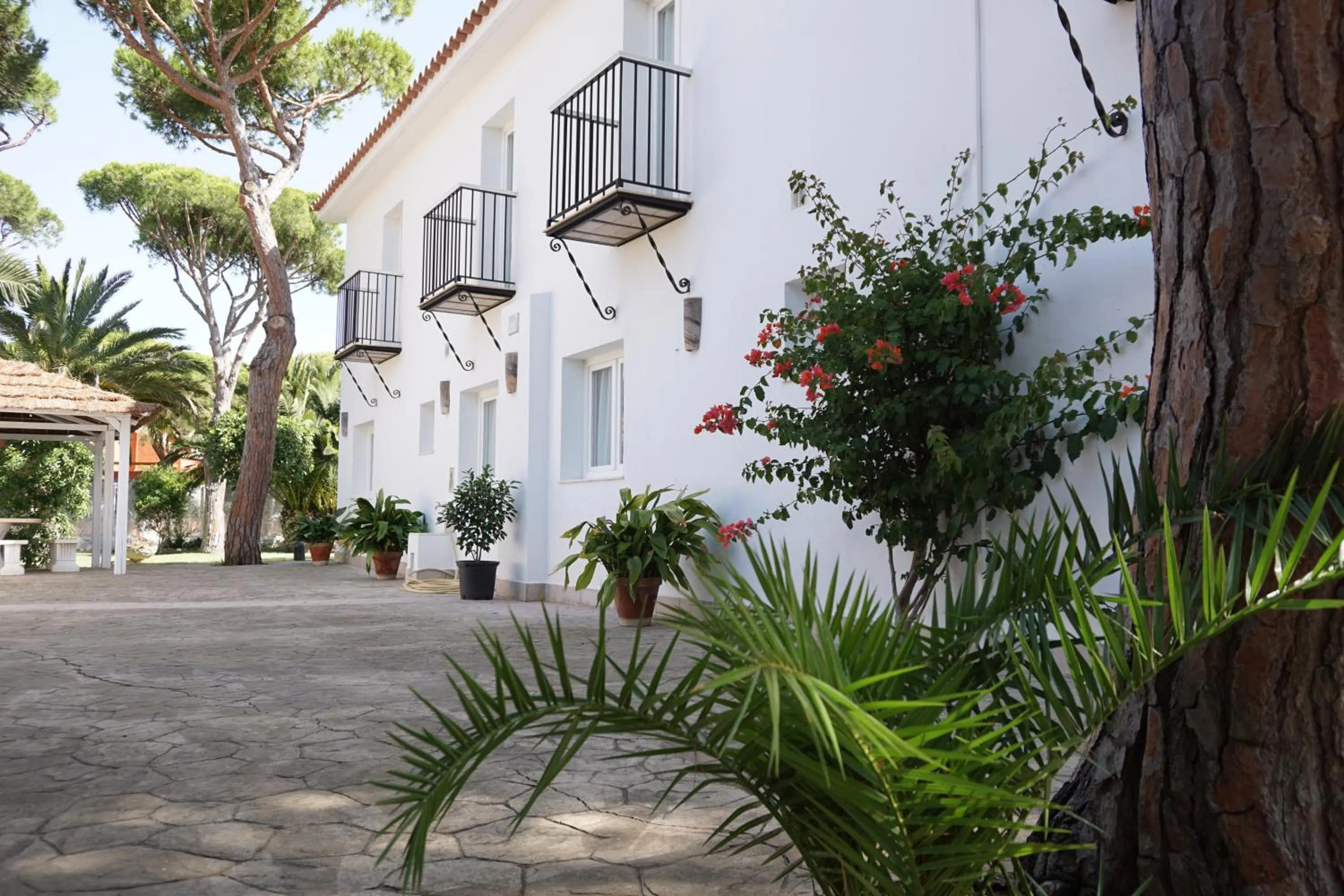 Area and facilities, Property Building in Casagrande - La Barrosa