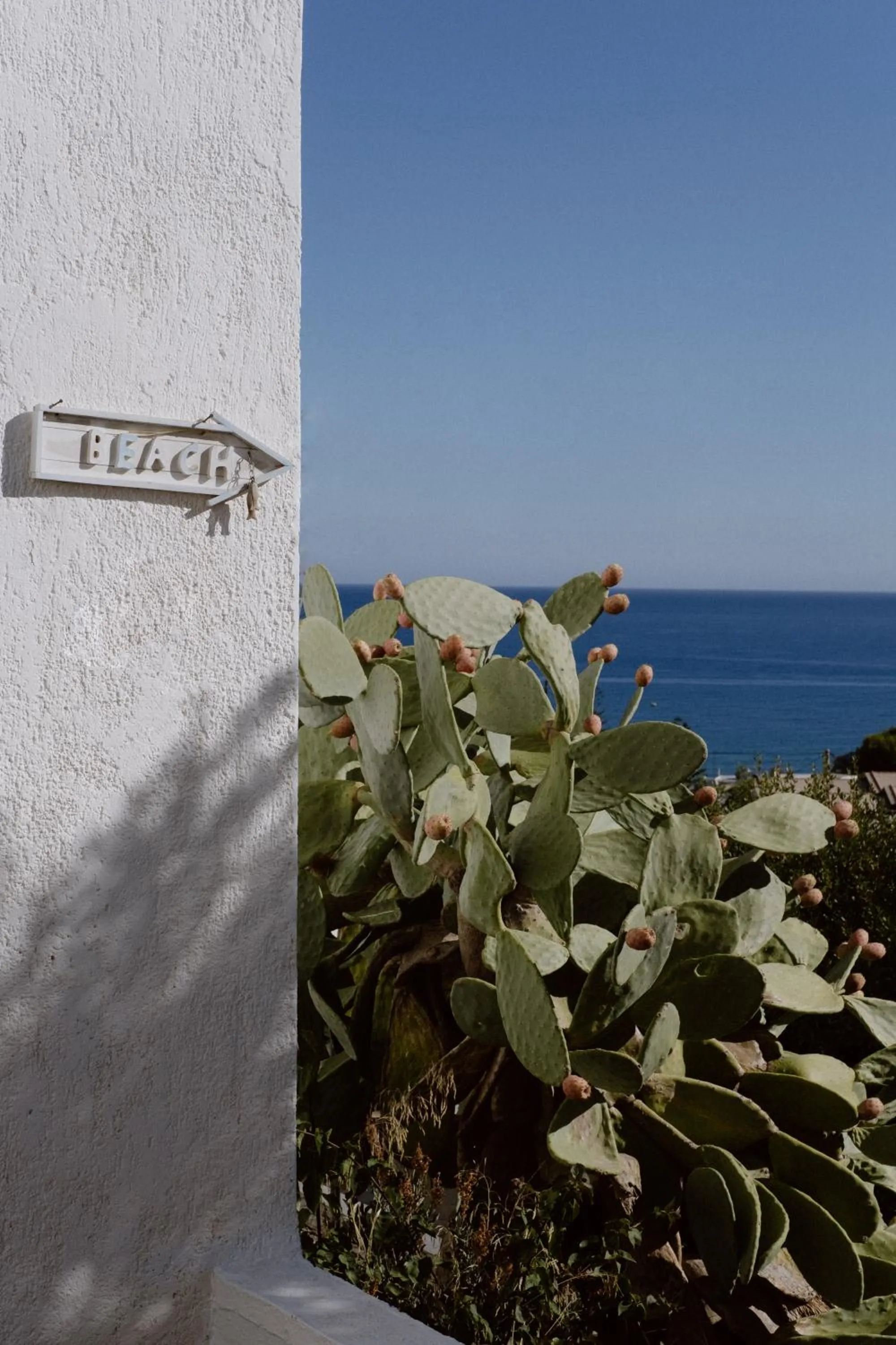 Natural landscape in Sunshine Village Hotel